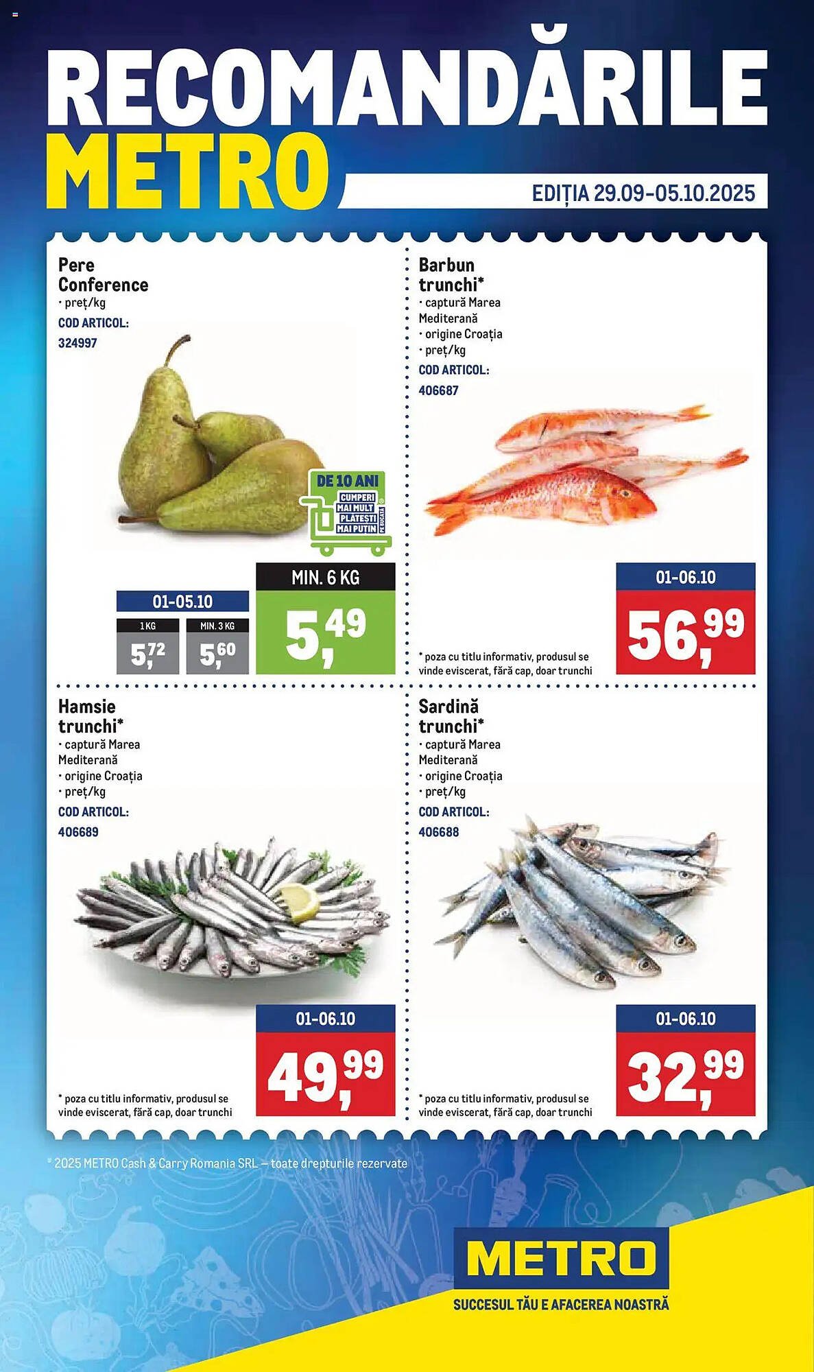 Catalog Metro