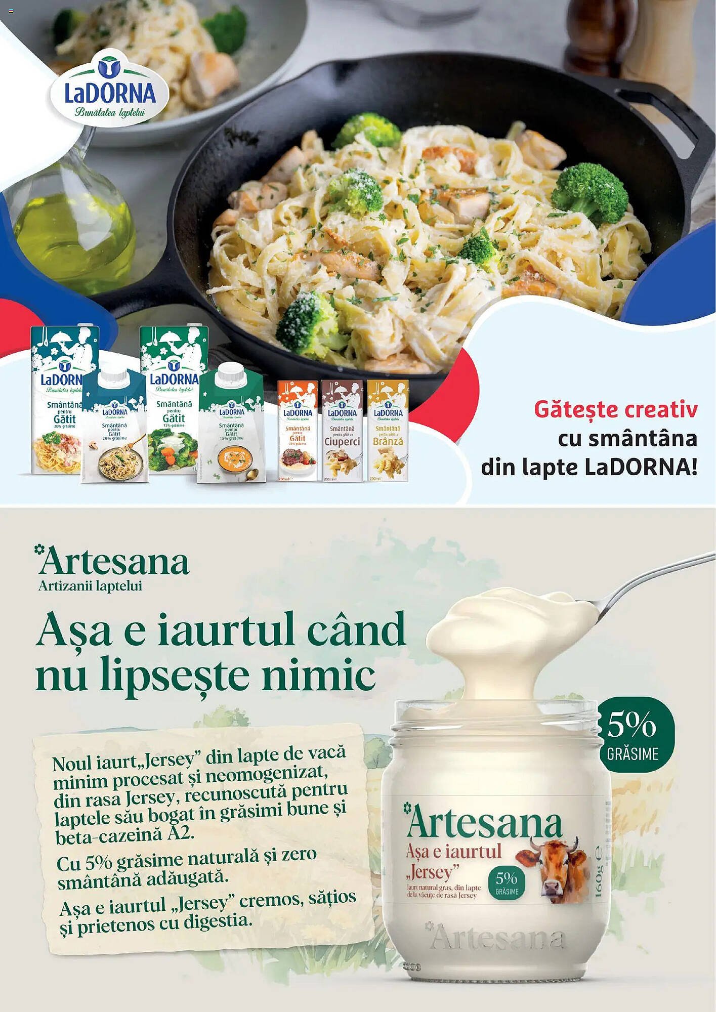 Catalog Auchan