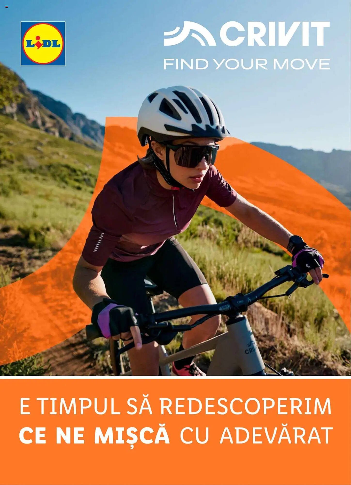 Catalog Lidl