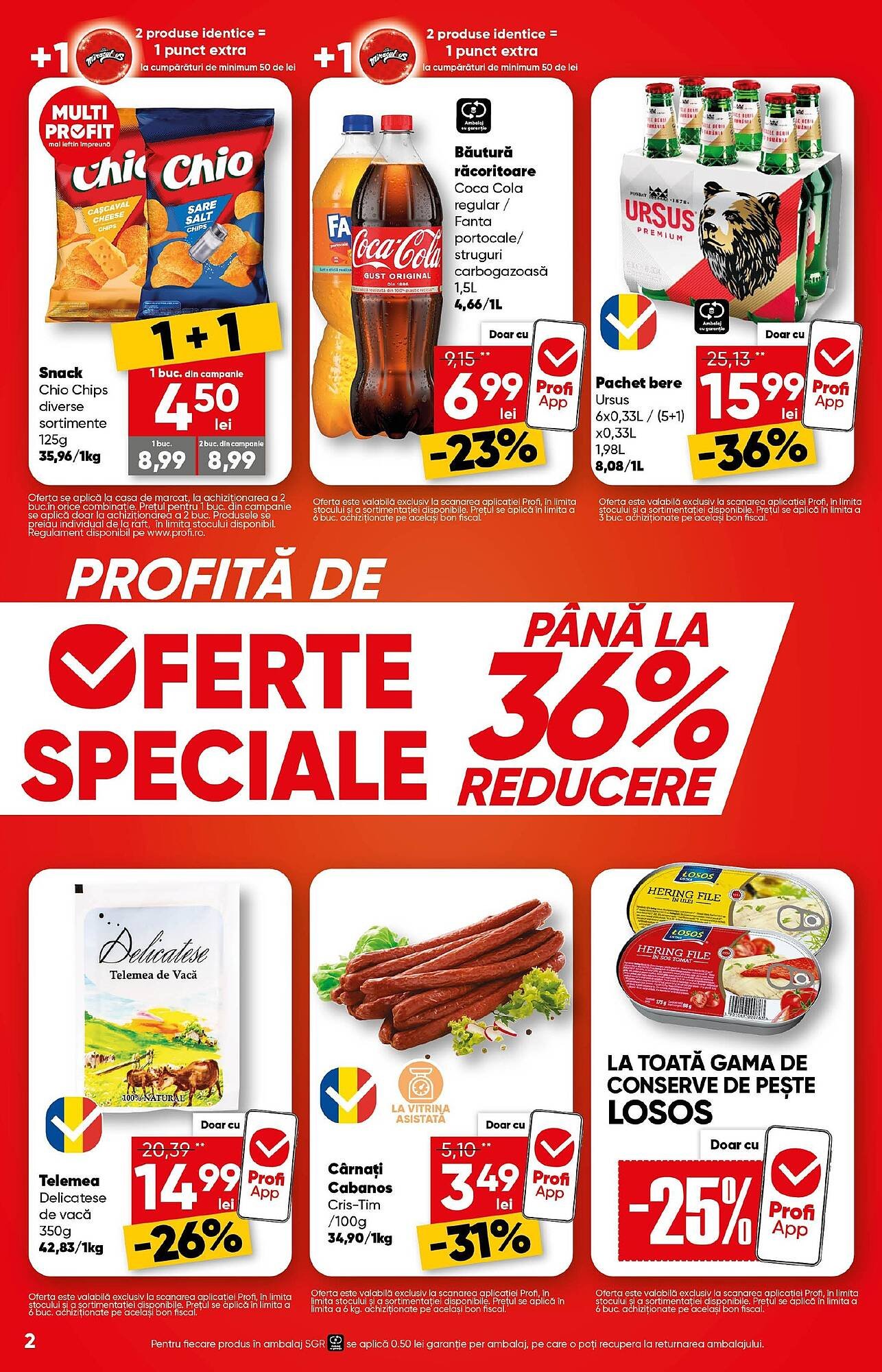 Catalog PROFI