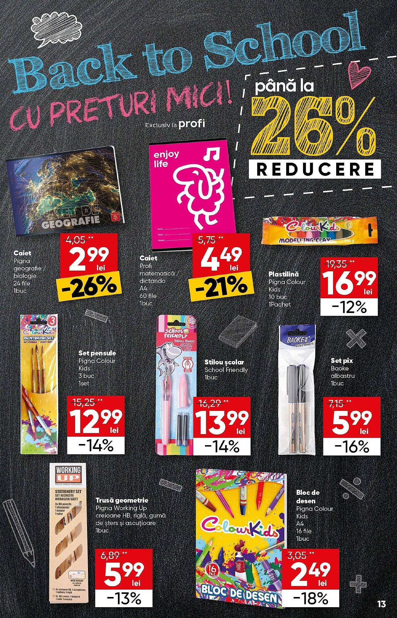 Catalog PROFI