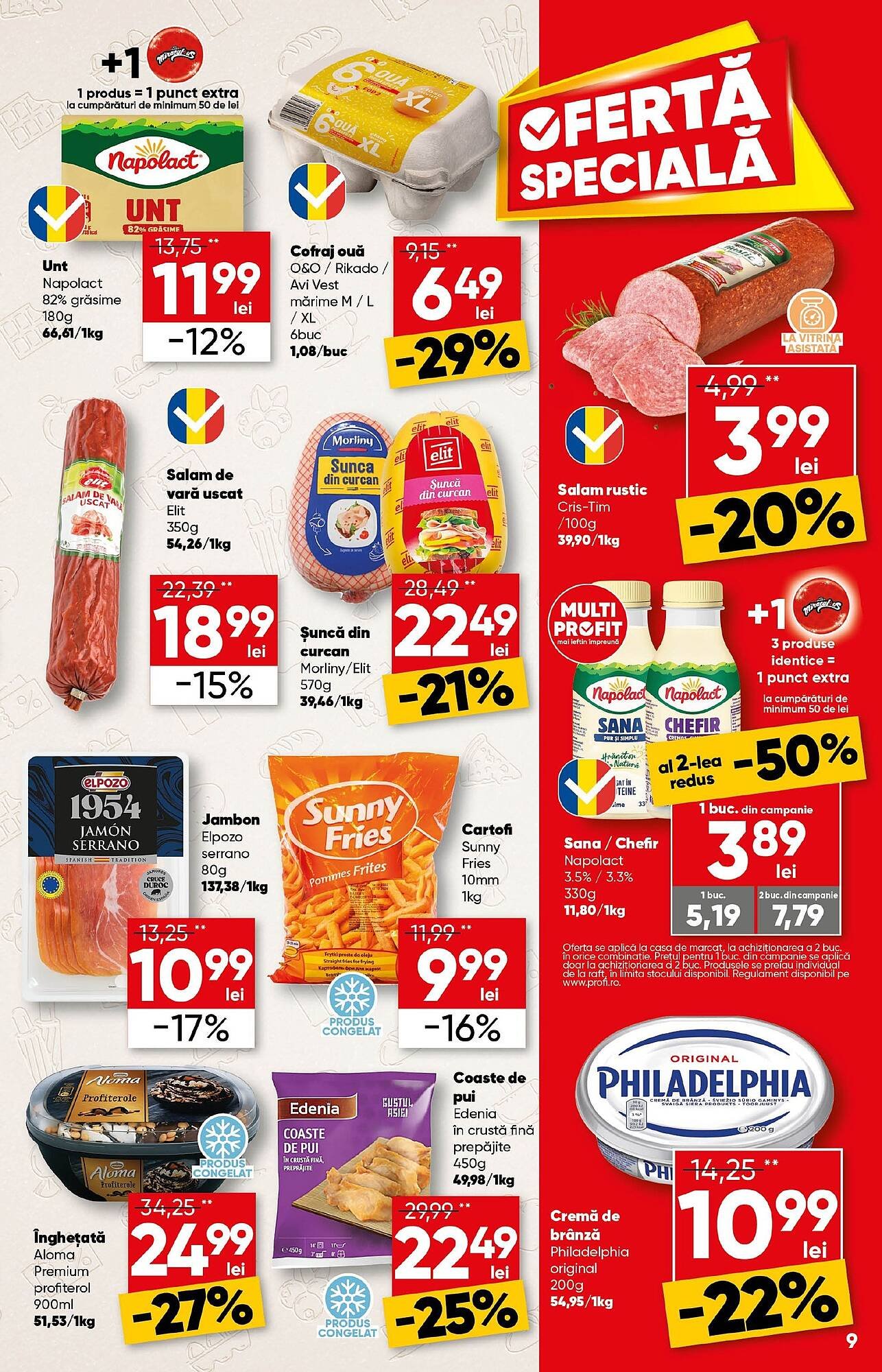 Catalog PROFI