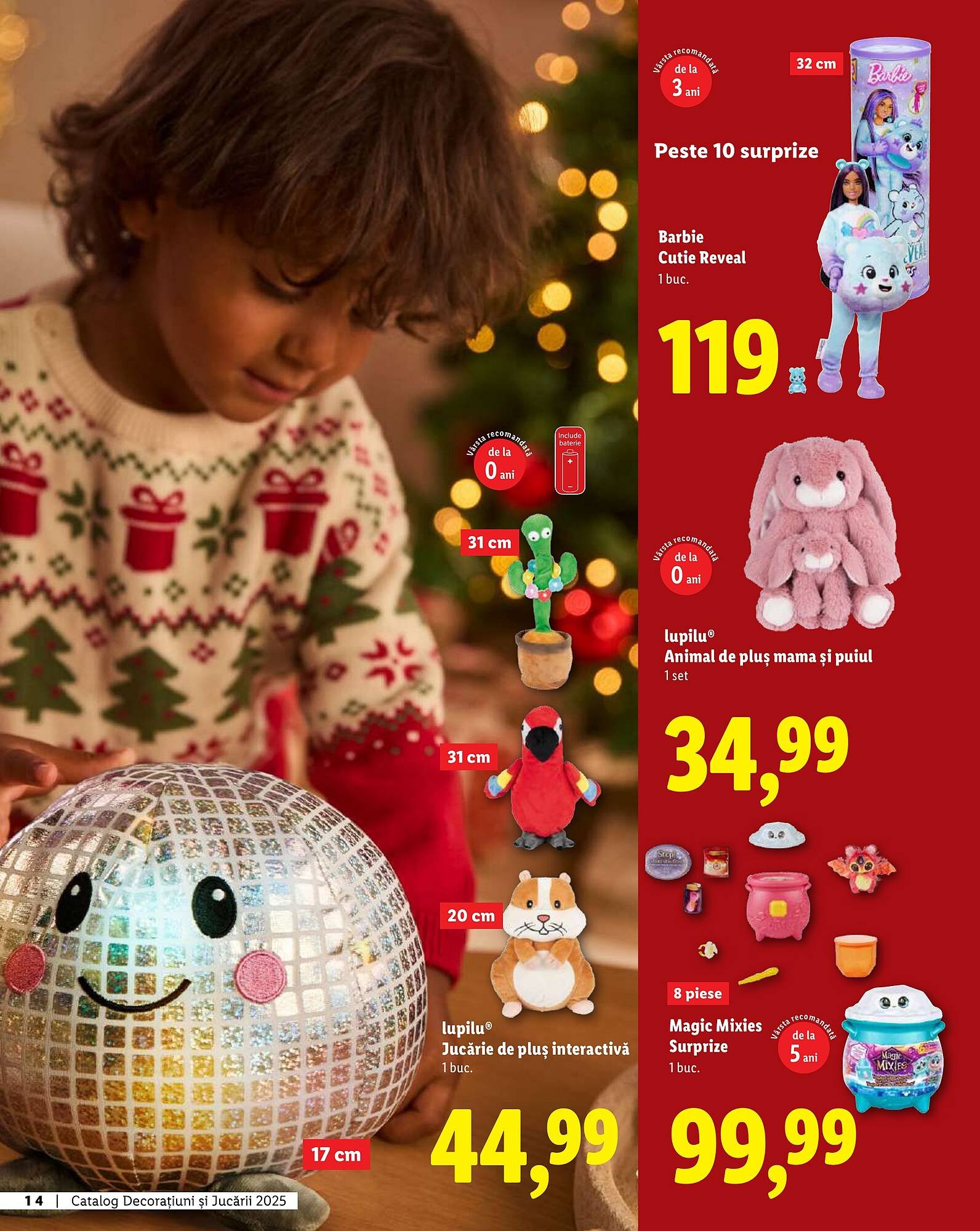 Catalog Lidl