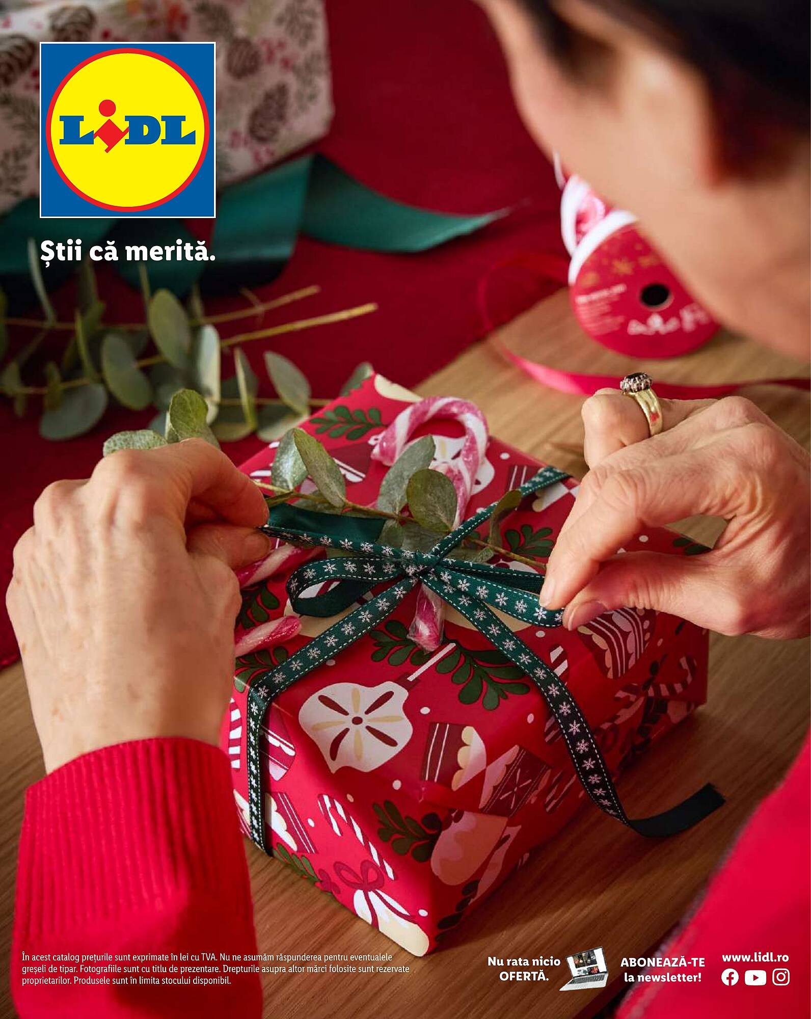 Catalog Lidl