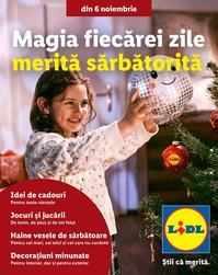 Catalog Lidl