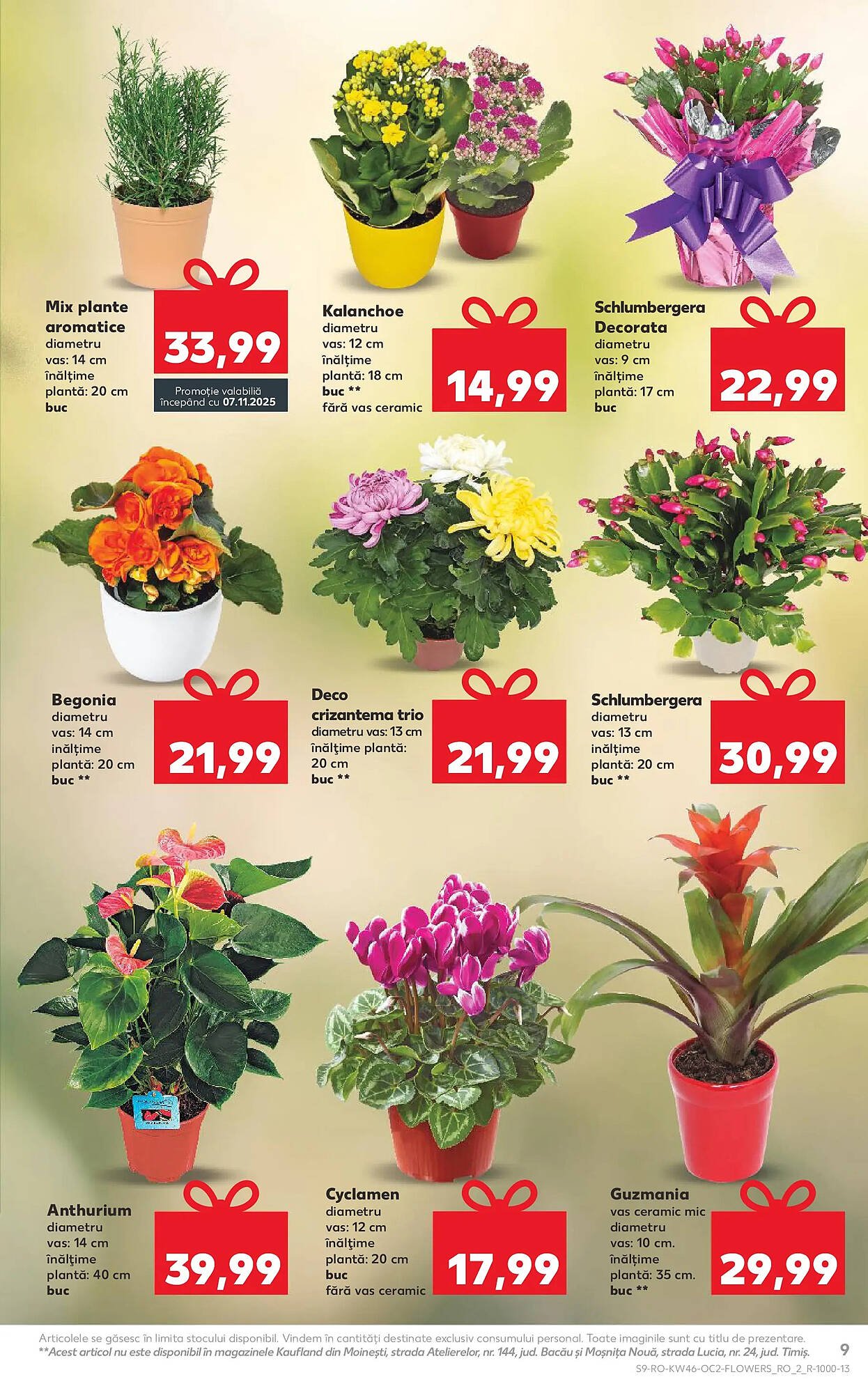 Catalog Kaufland