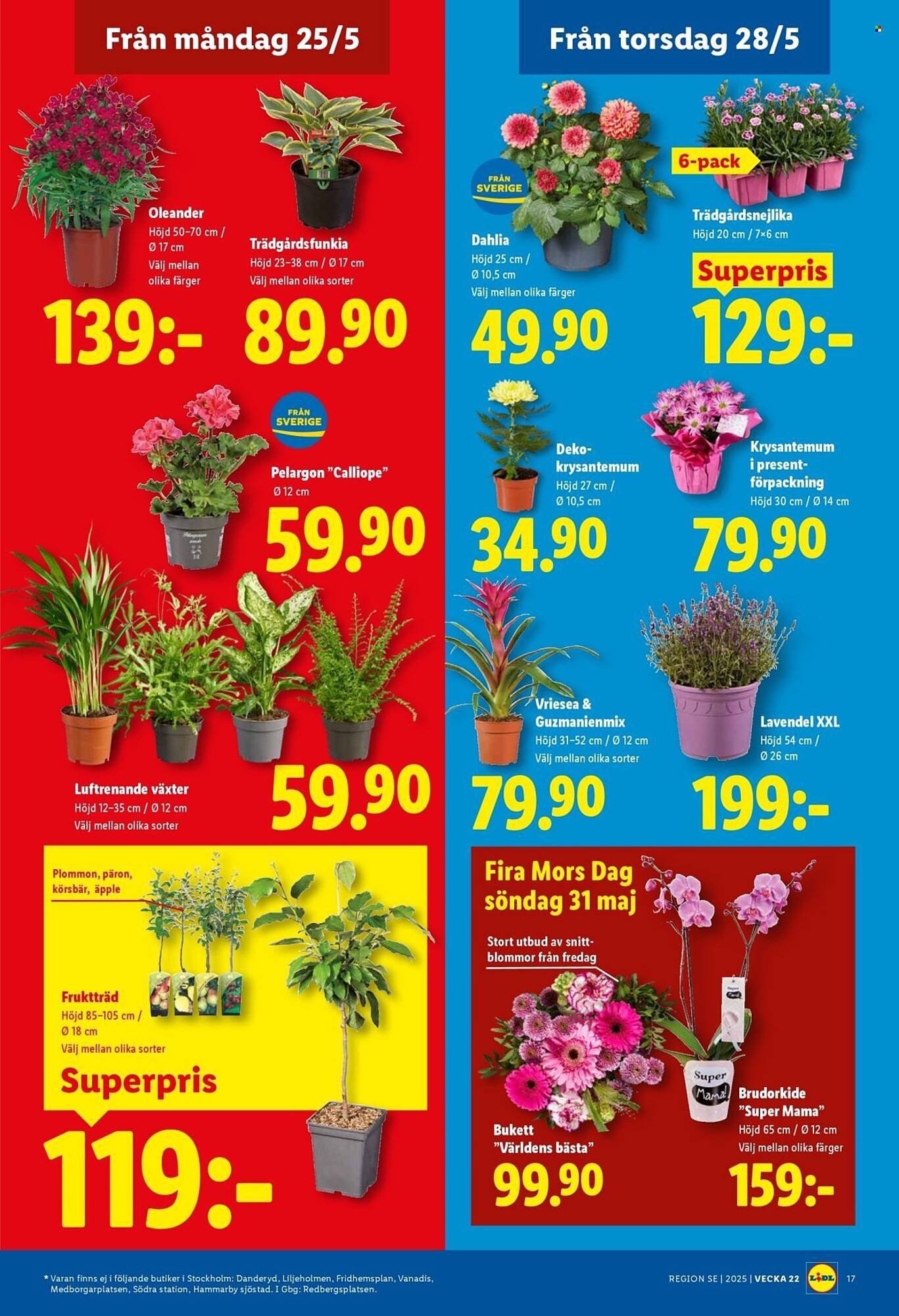 Lidl reklamblad
