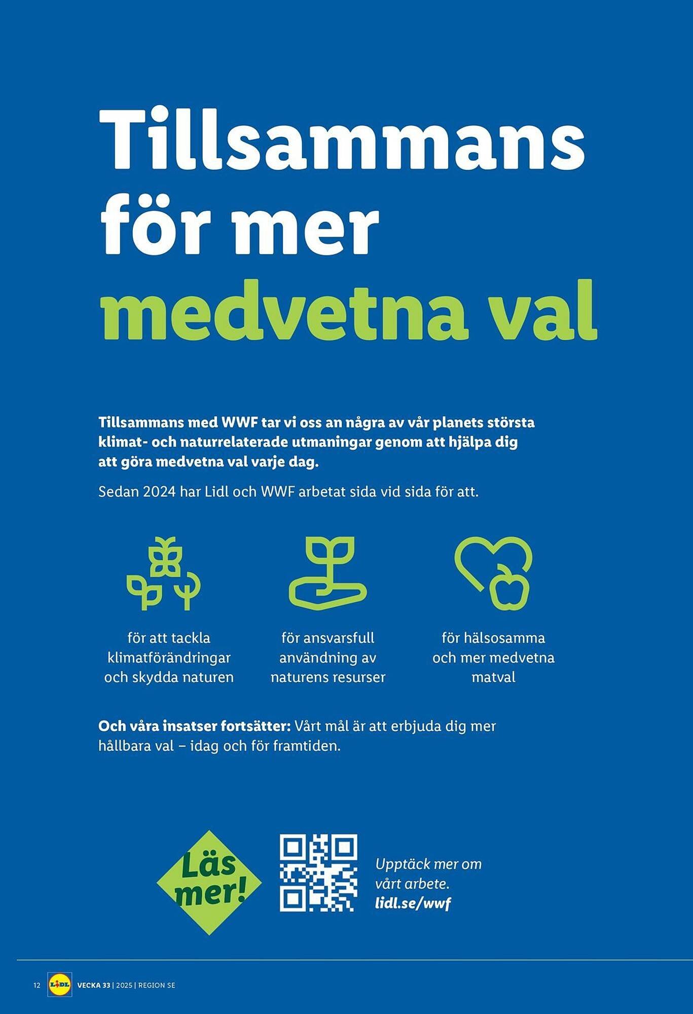 Lidl reklamblad (2025-08-11 - 2025-08-17)