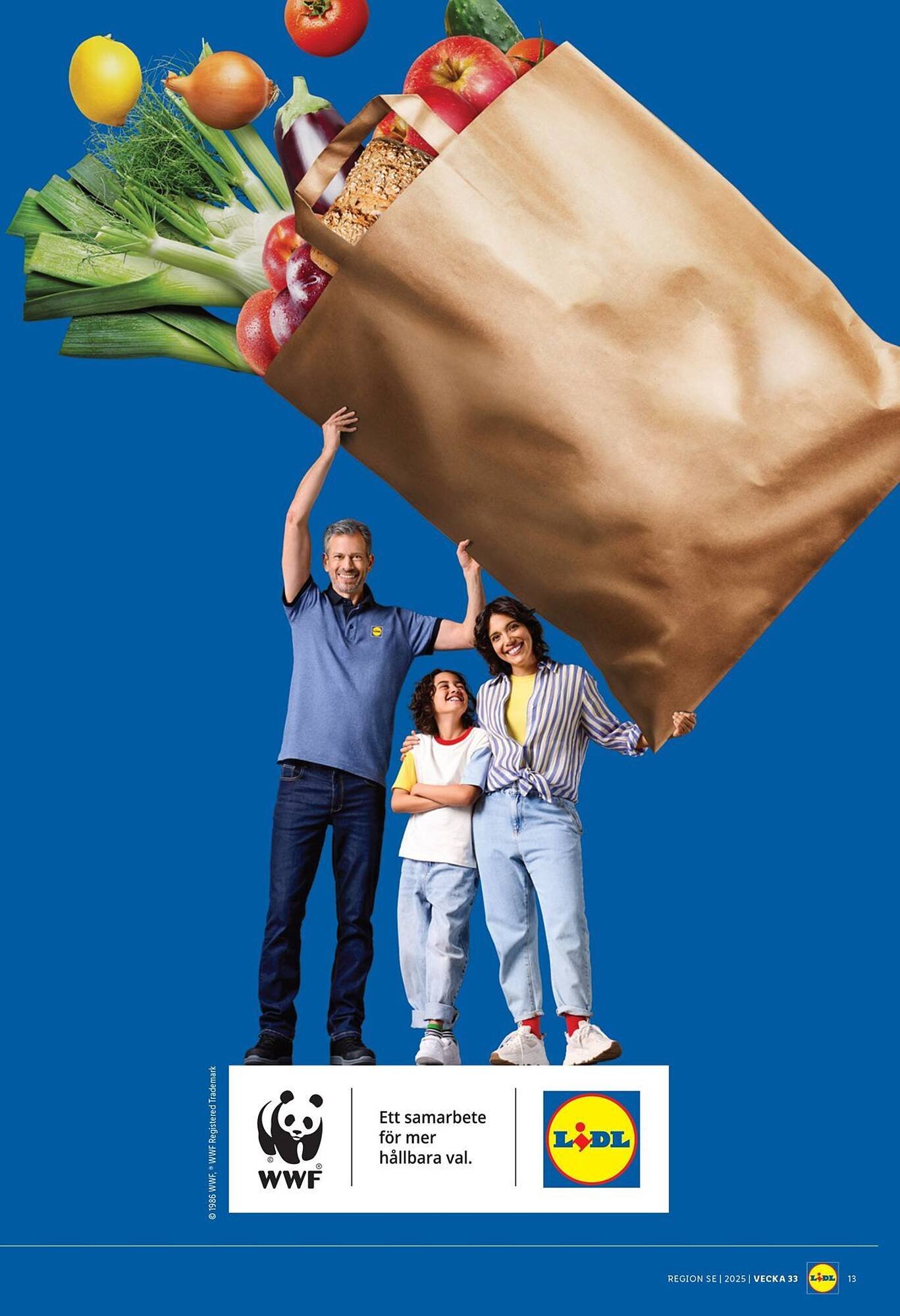 Lidl reklamblad (2025-08-11 - 2025-08-17)