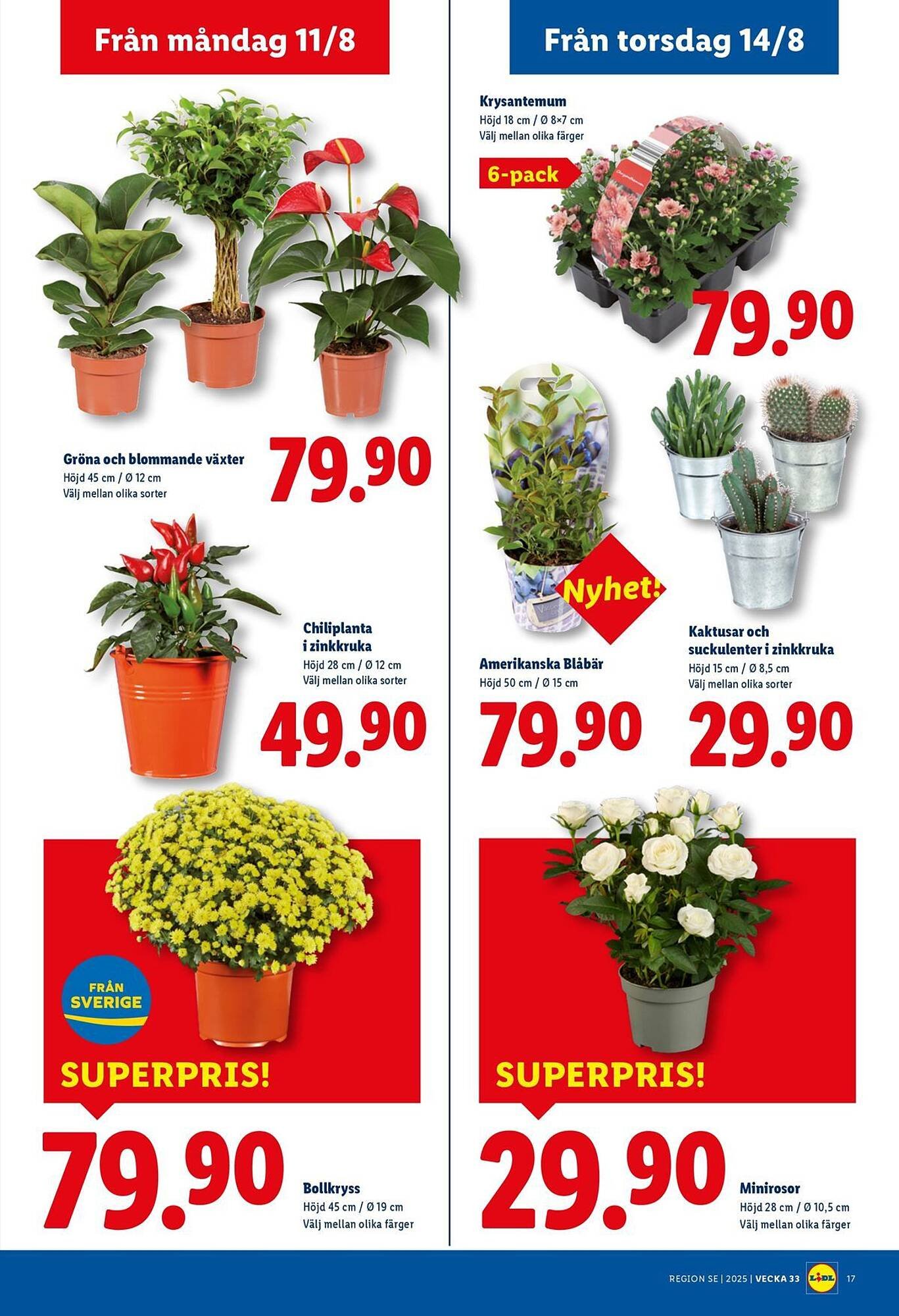 Lidl reklamblad (2025-08-11 - 2025-08-17)