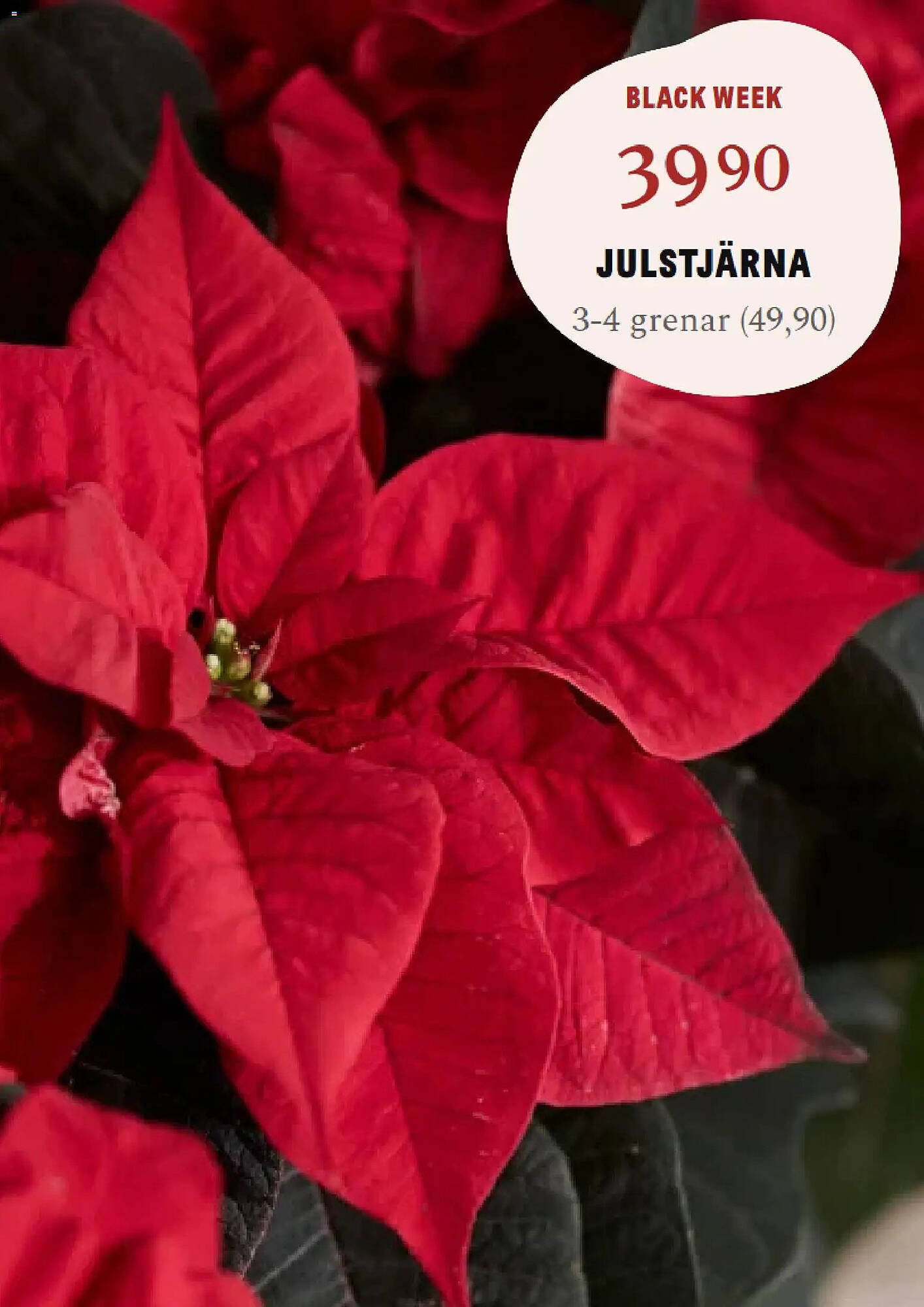 Blomsterlandet reklamblad