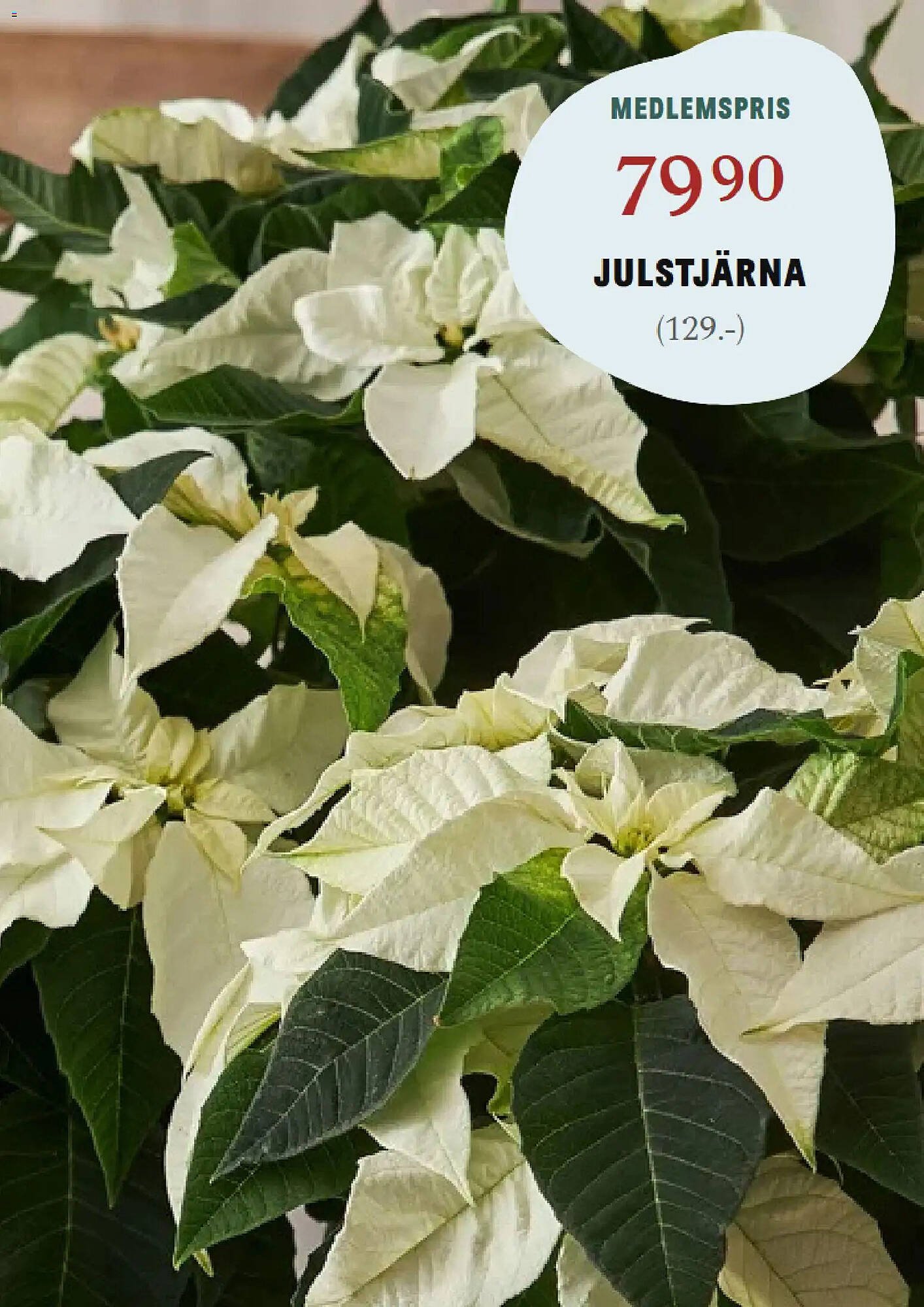 Blomsterlandet reklamblad