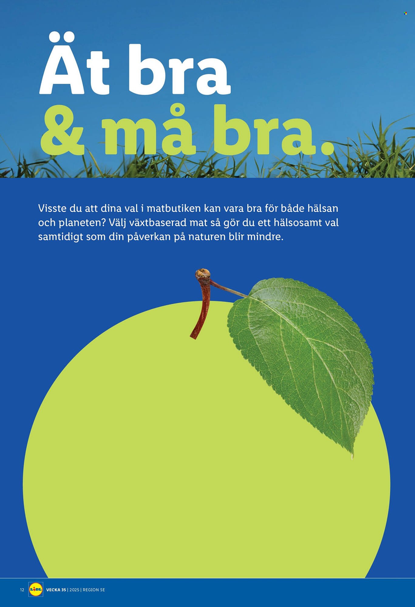 Lidl reklamblad (2025-08-25 - 2025-08-31)