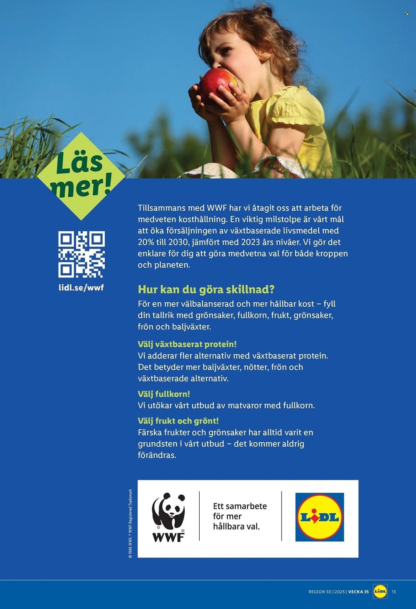 Lidl reklamblad (2025-08-25 - 2025-08-31)