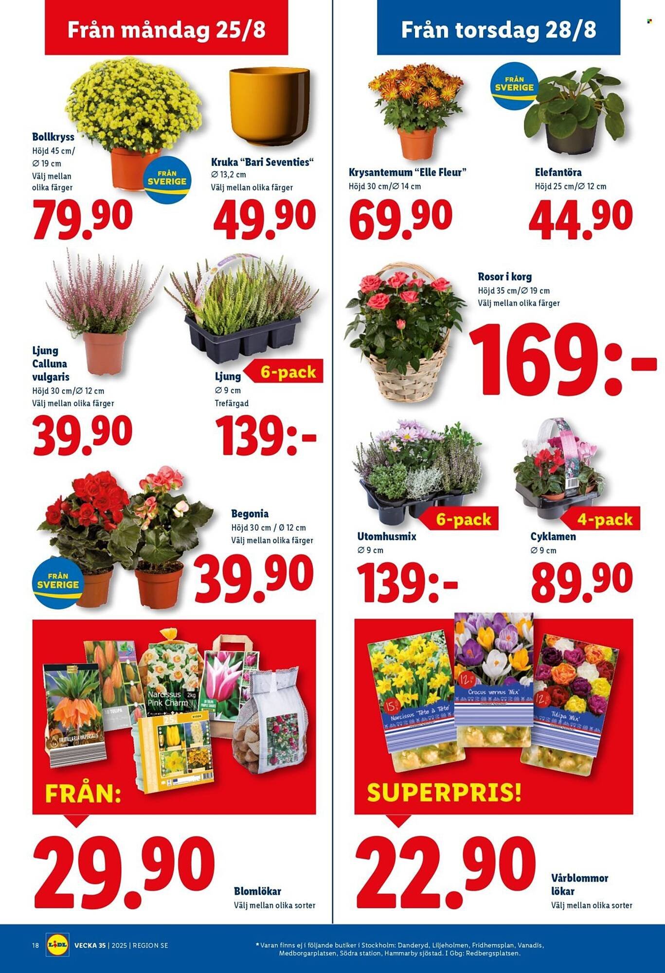 Lidl reklamblad (2025-08-25 - 2025-08-31)