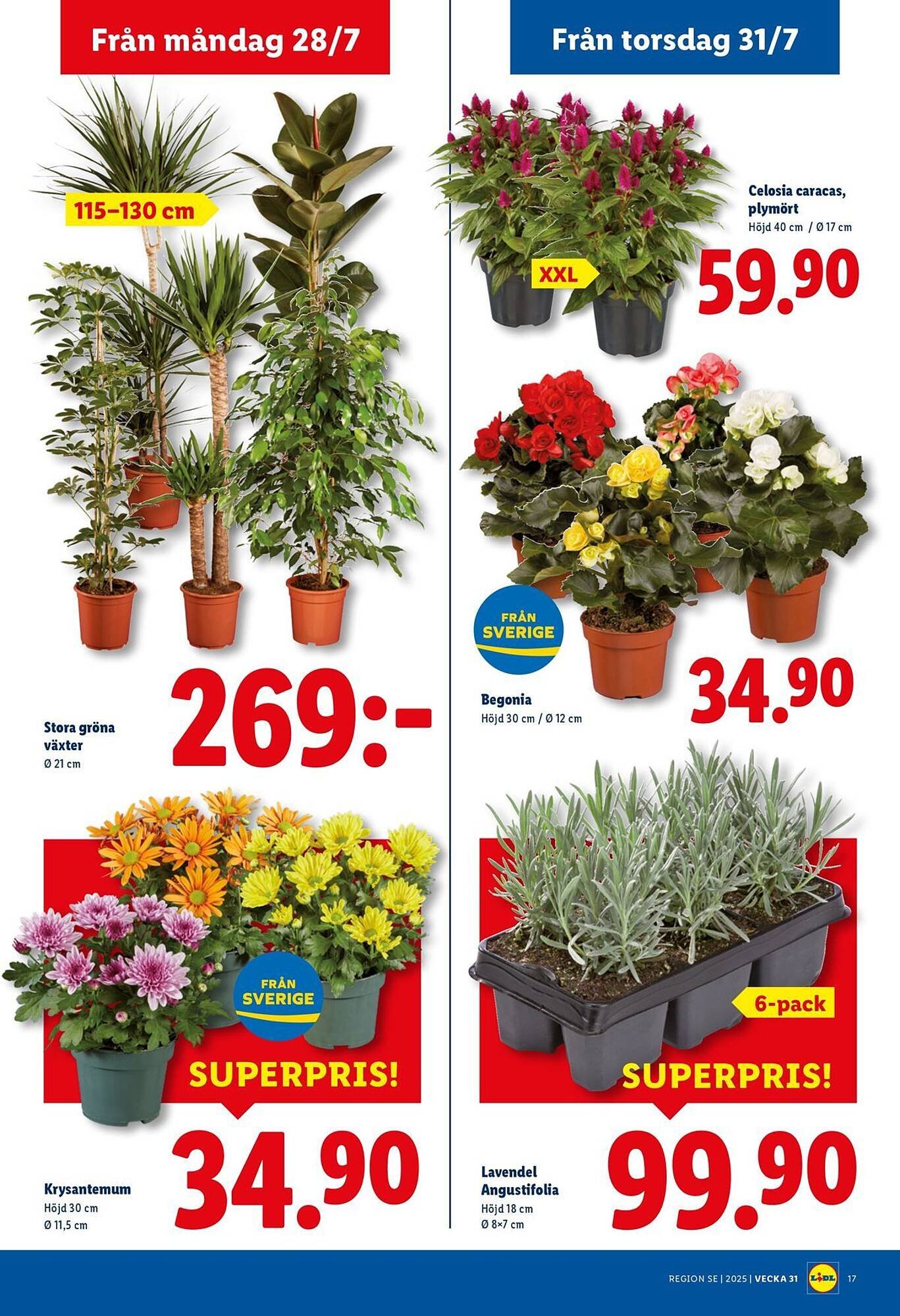 Lidl reklamblad (2025-07-28 - 2025-08-03)