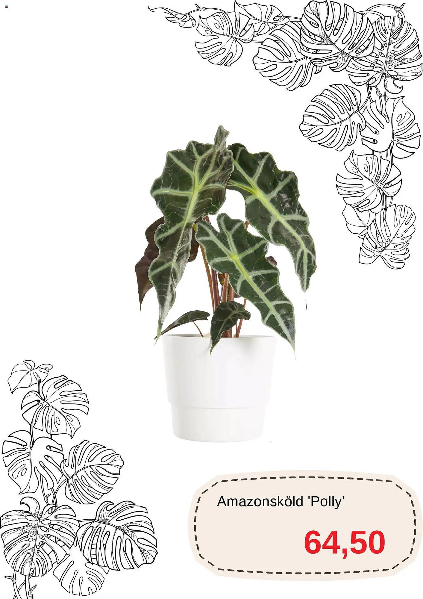 Blomsterlandet reklamblad