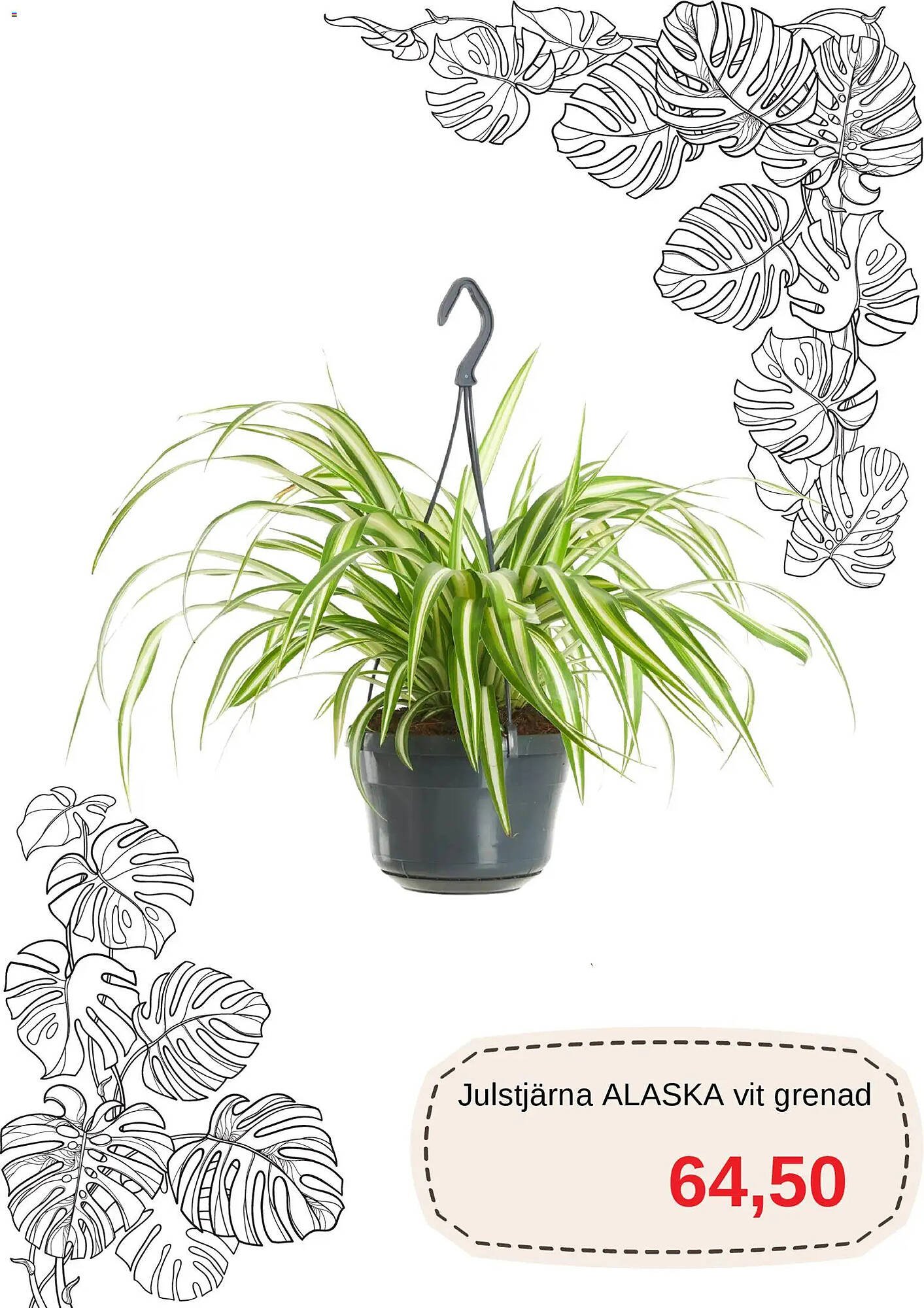 Blomsterlandet reklamblad