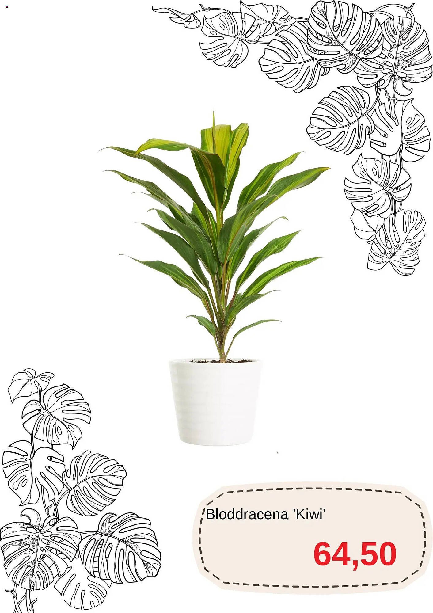 Blomsterlandet reklamblad