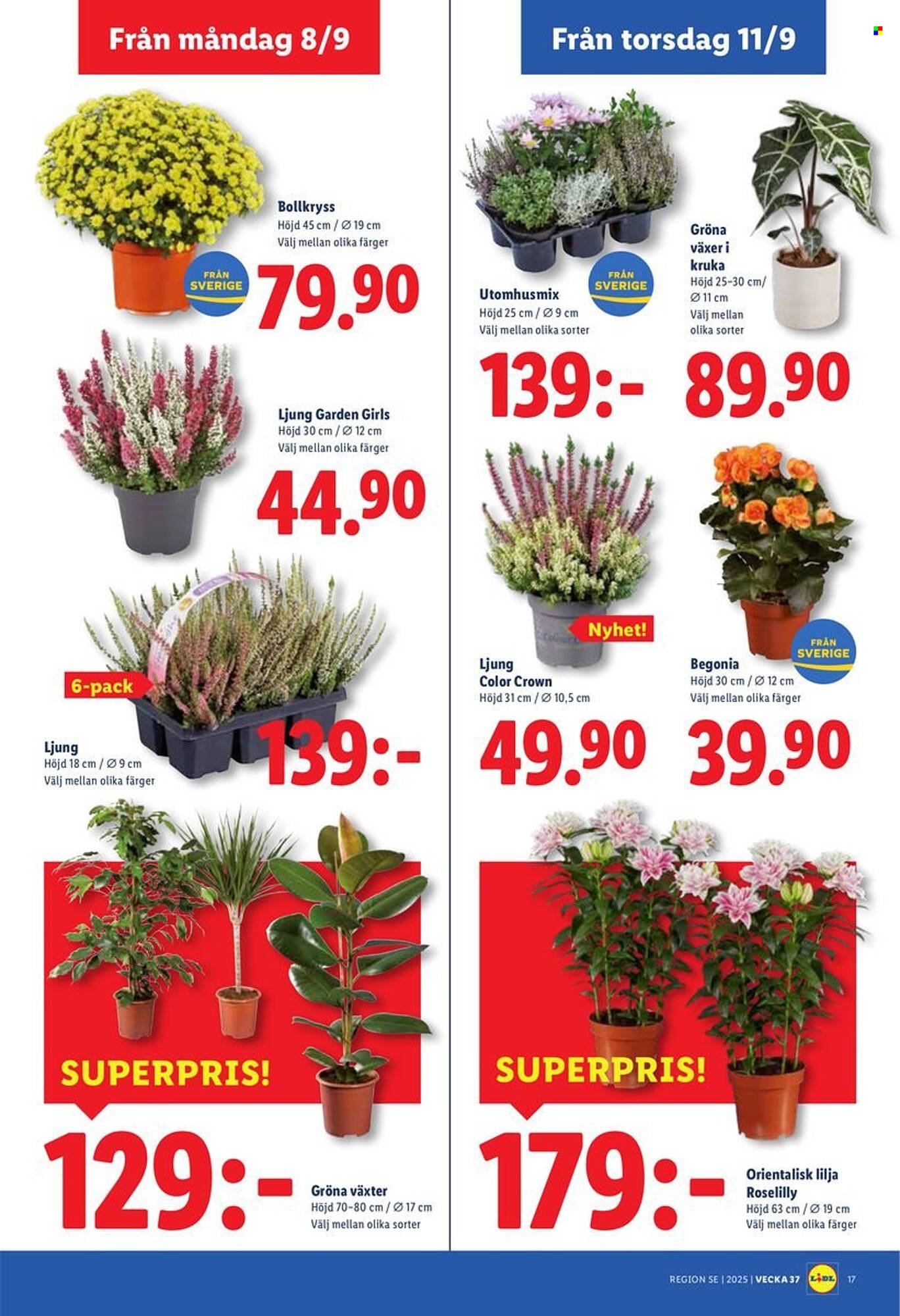 Lidl reklamblad (2025-09-08 - 2025-09-14)