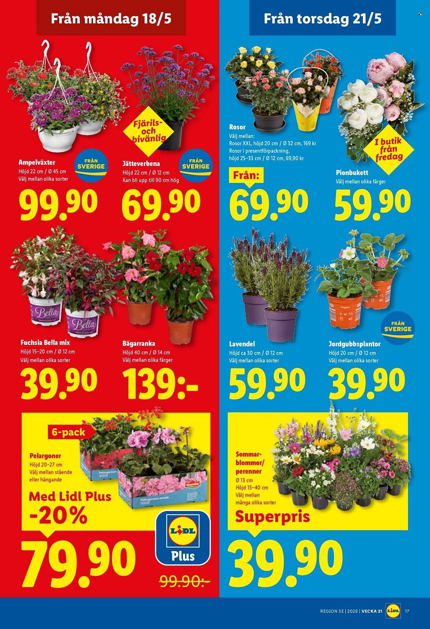 Lidl reklamblad
