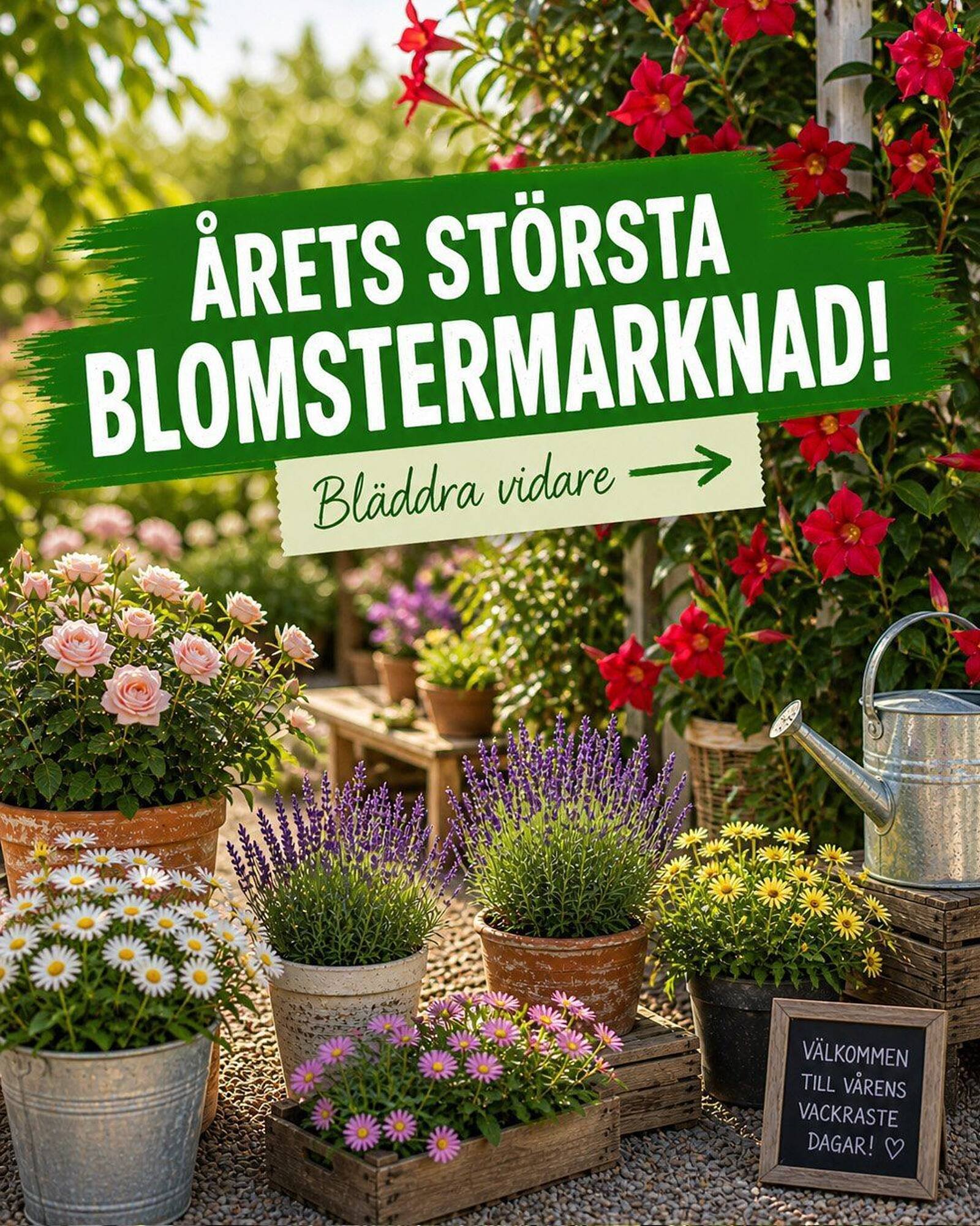EKO reklamblad