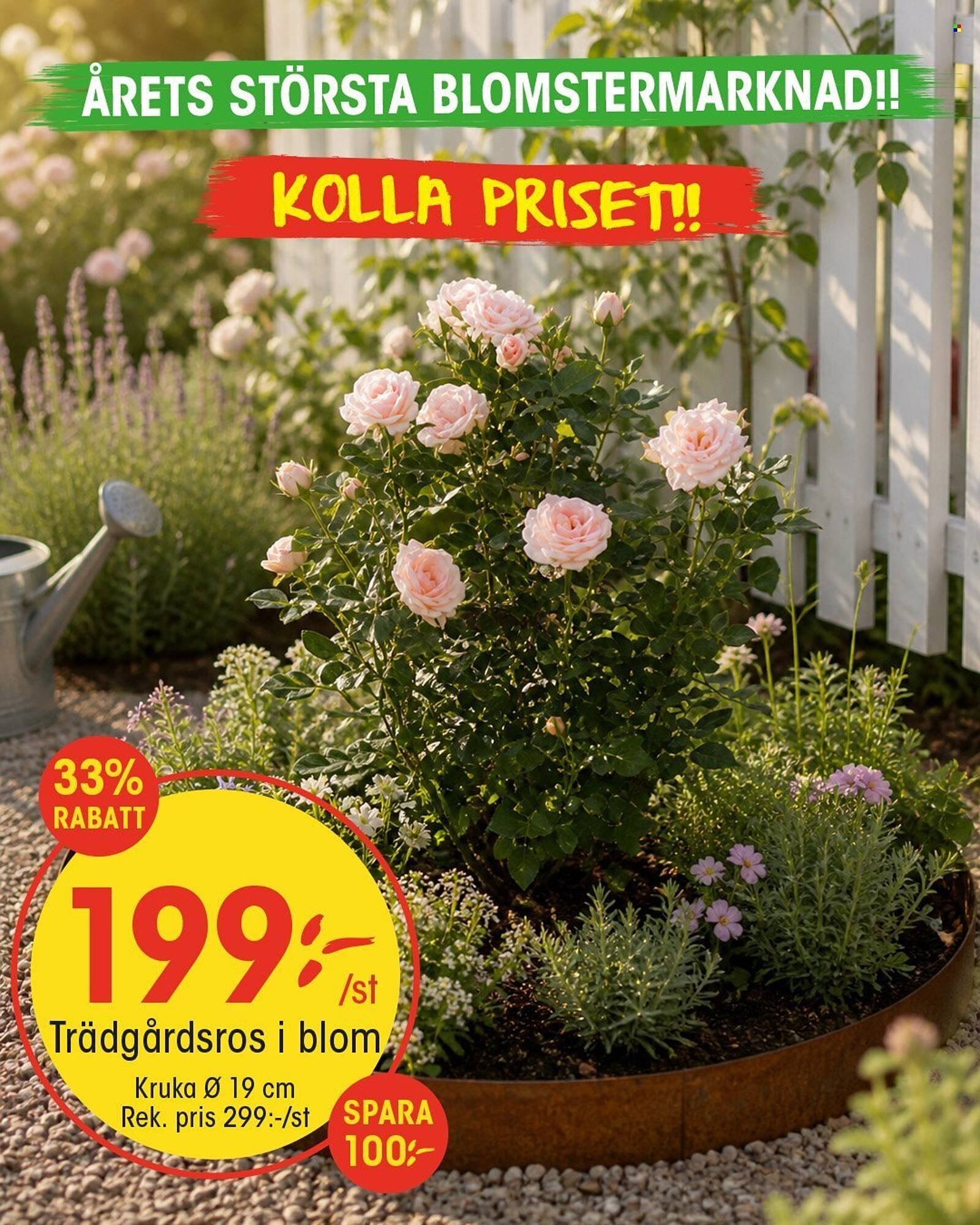 EKO reklamblad