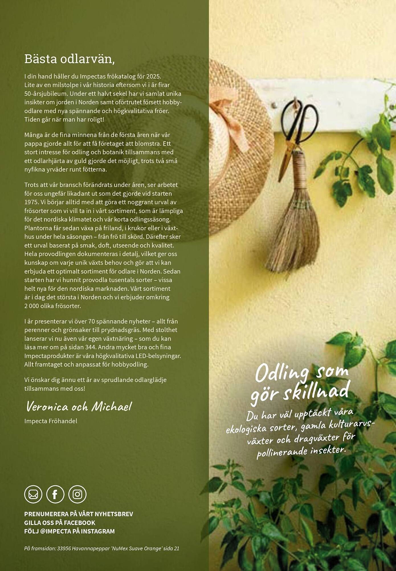 Granngården kampanjblad (2025-09-11 - 2025-12-31)