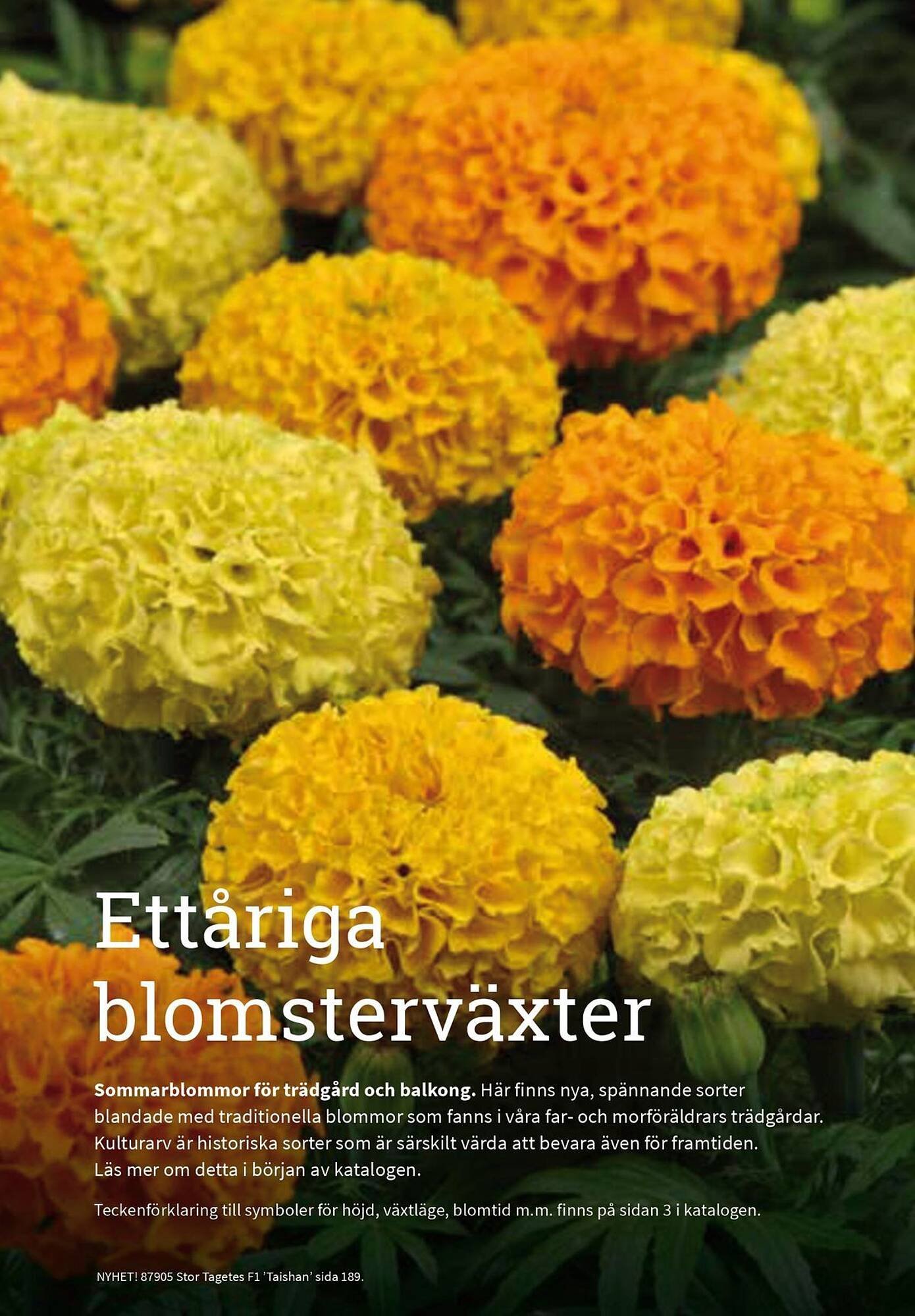Granngården kampanjblad (2025-09-11 - 2025-12-31)