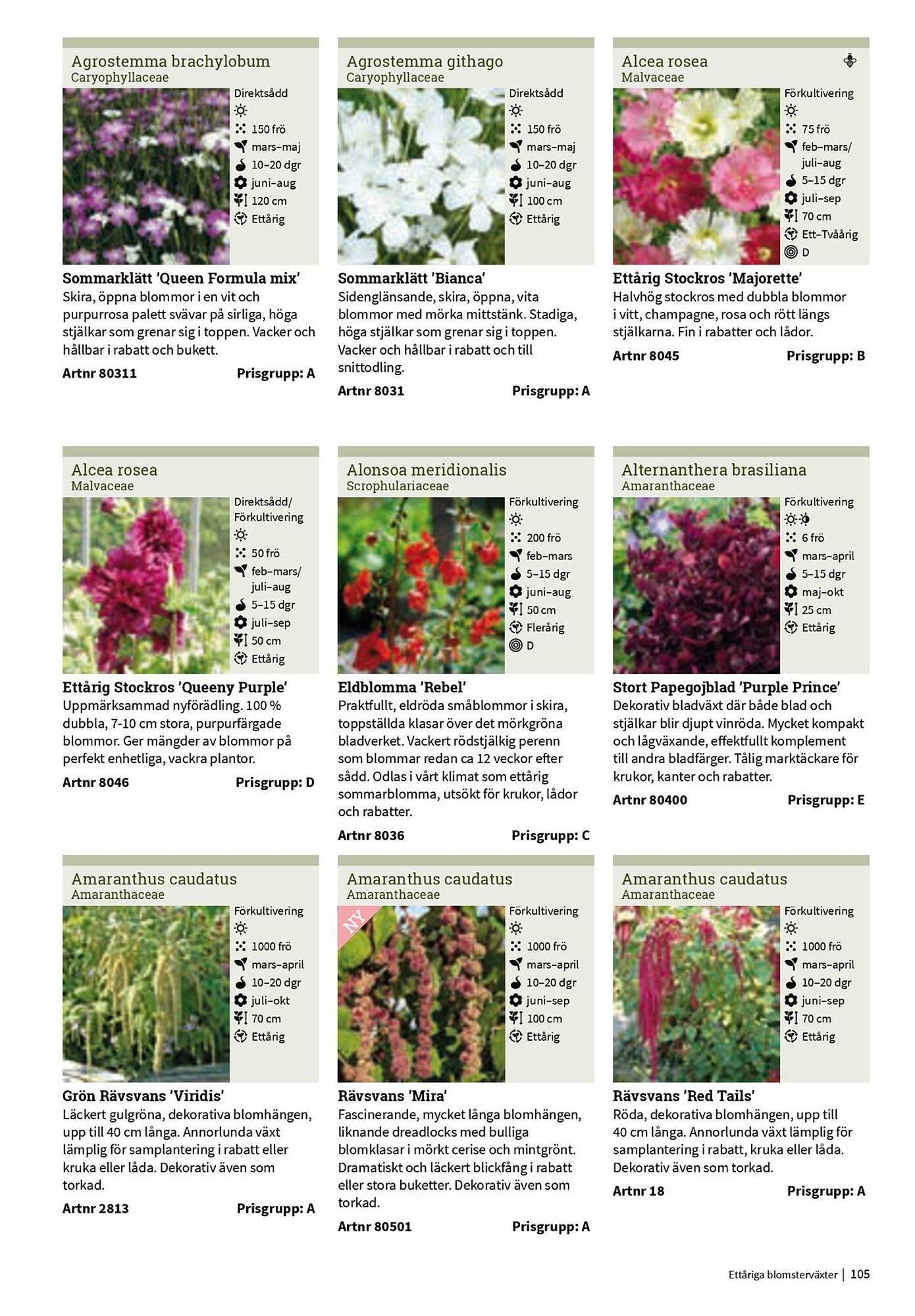 Granngården kampanjblad (2025-09-11 - 2025-12-31)