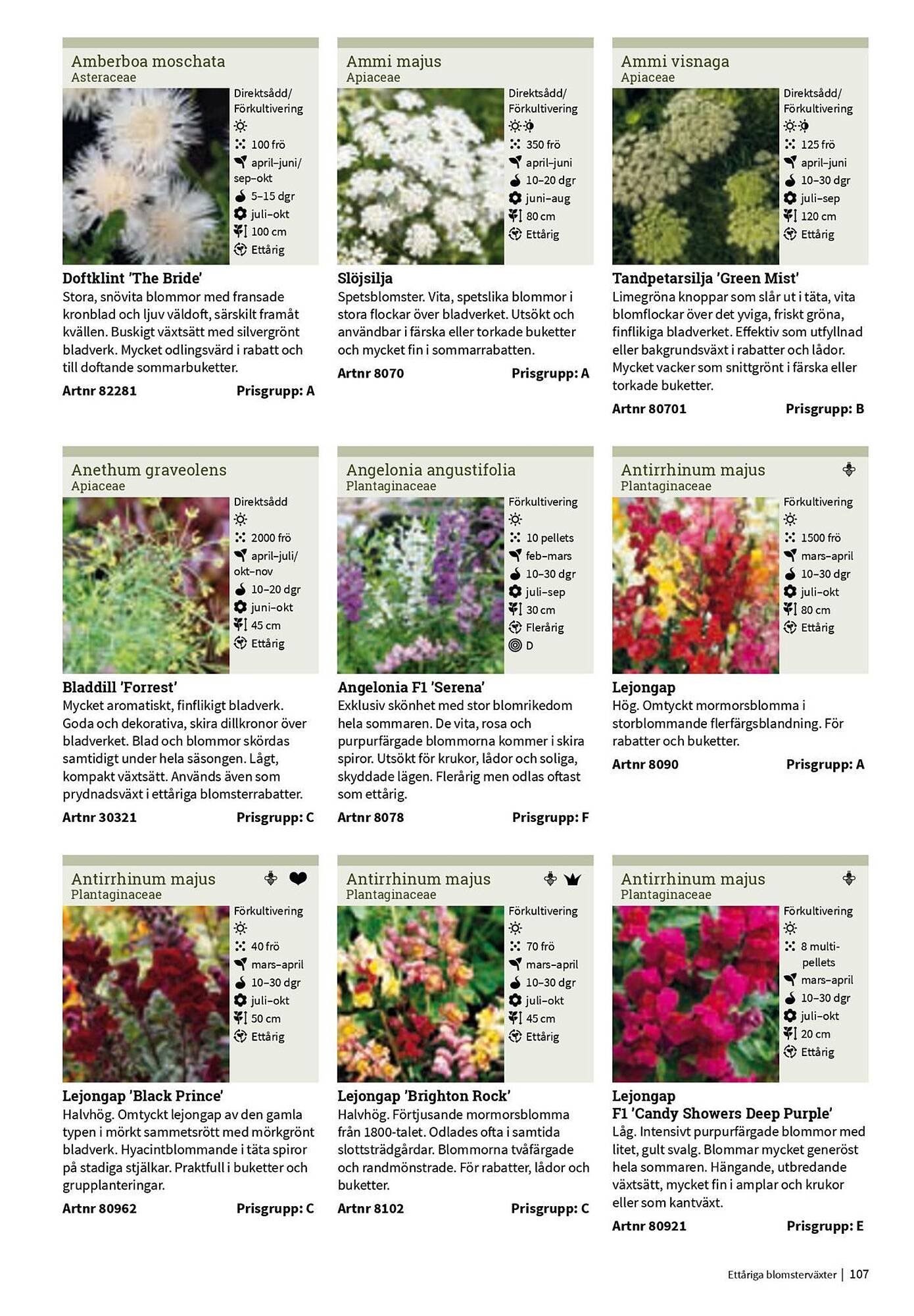 Granngården kampanjblad (2025-09-11 - 2025-12-31)