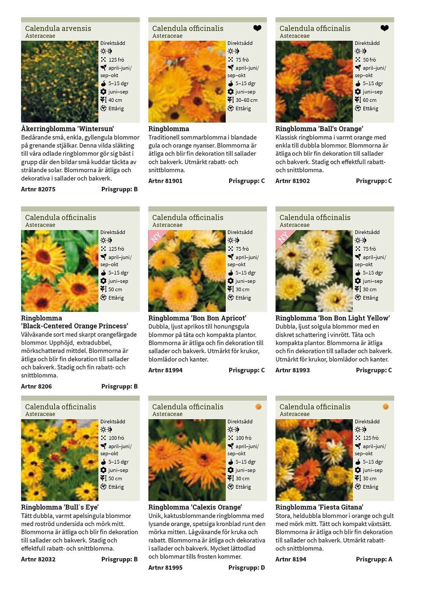 Granngården kampanjblad (2025-09-11 - 2025-12-31)