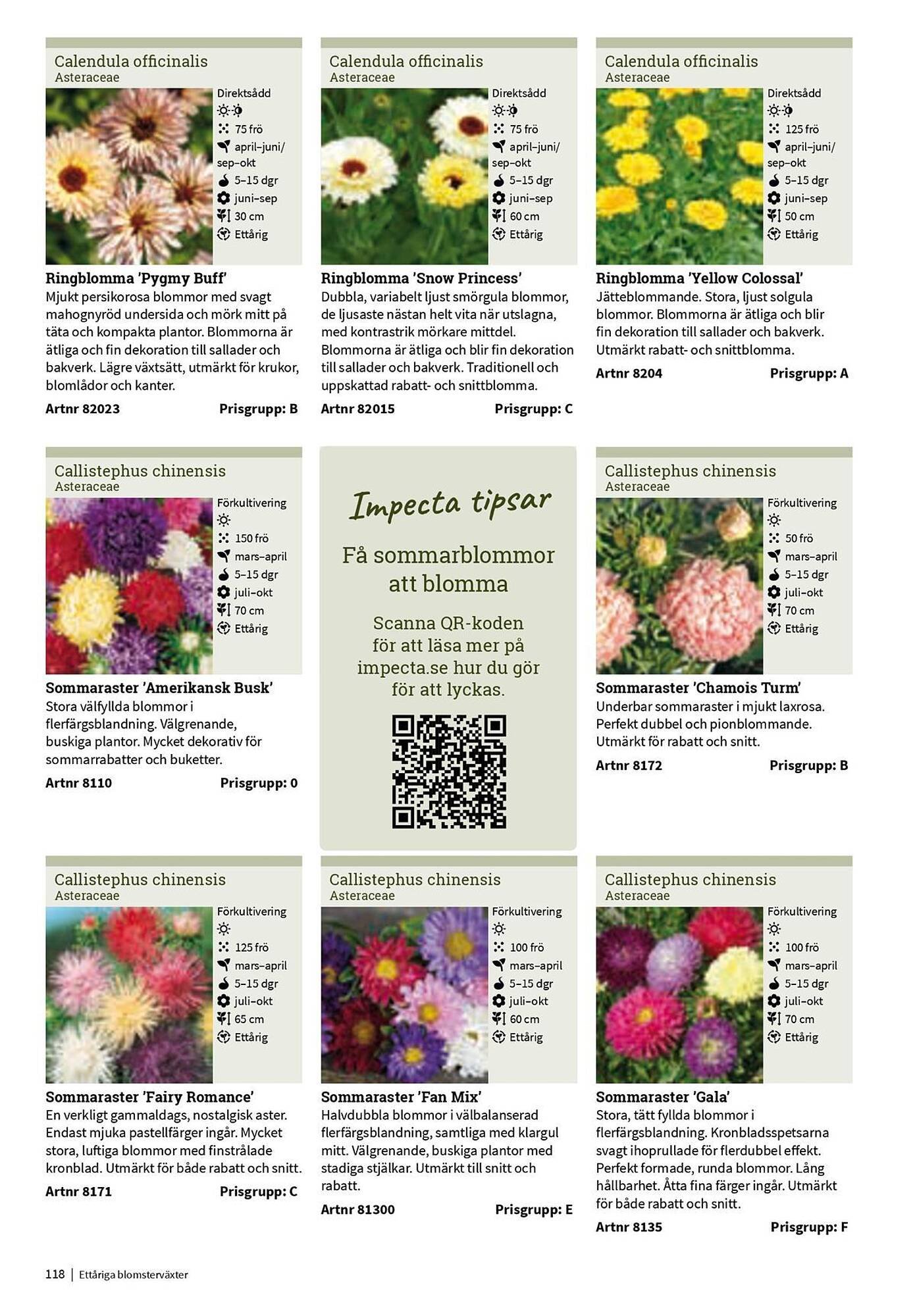 Granngården kampanjblad (2025-09-11 - 2025-12-31)