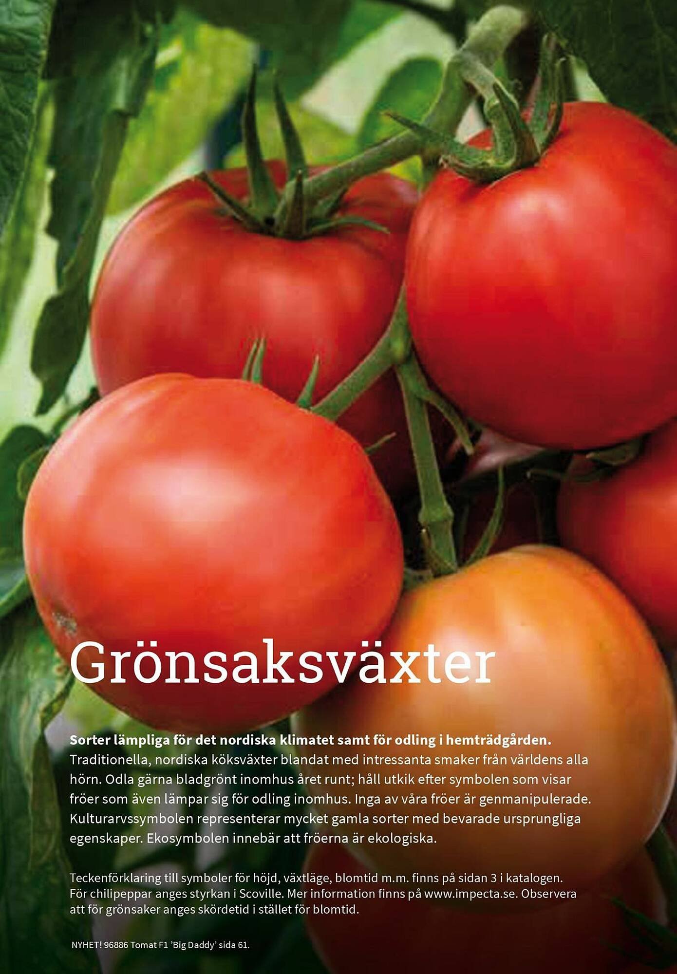 Granngården kampanjblad (2025-09-11 - 2025-12-31)
