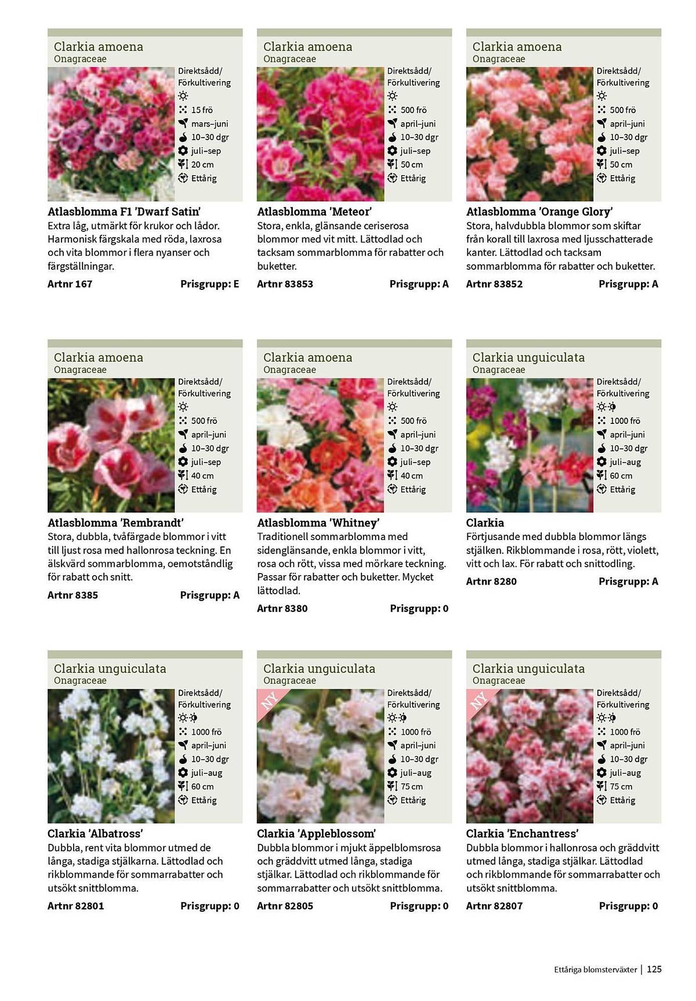 Granngården kampanjblad (2025-09-11 - 2025-12-31)