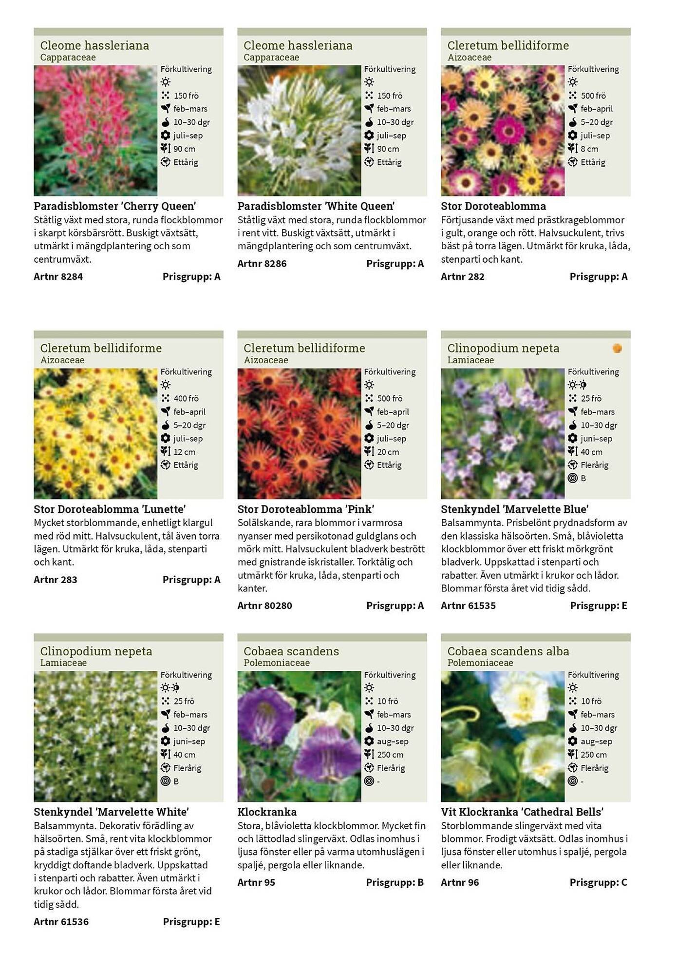 Granngården kampanjblad (2025-09-11 - 2025-12-31)