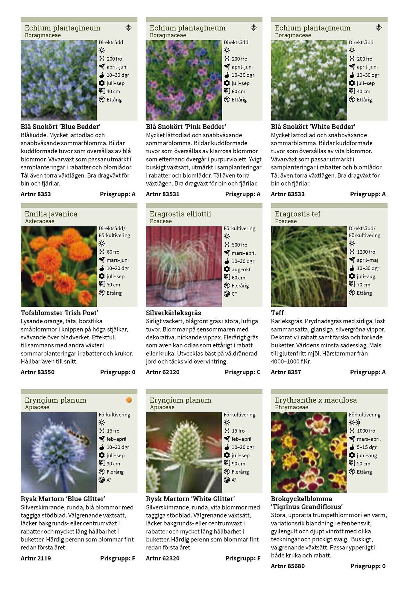 Granngården kampanjblad (2025-09-11 - 2025-12-31)