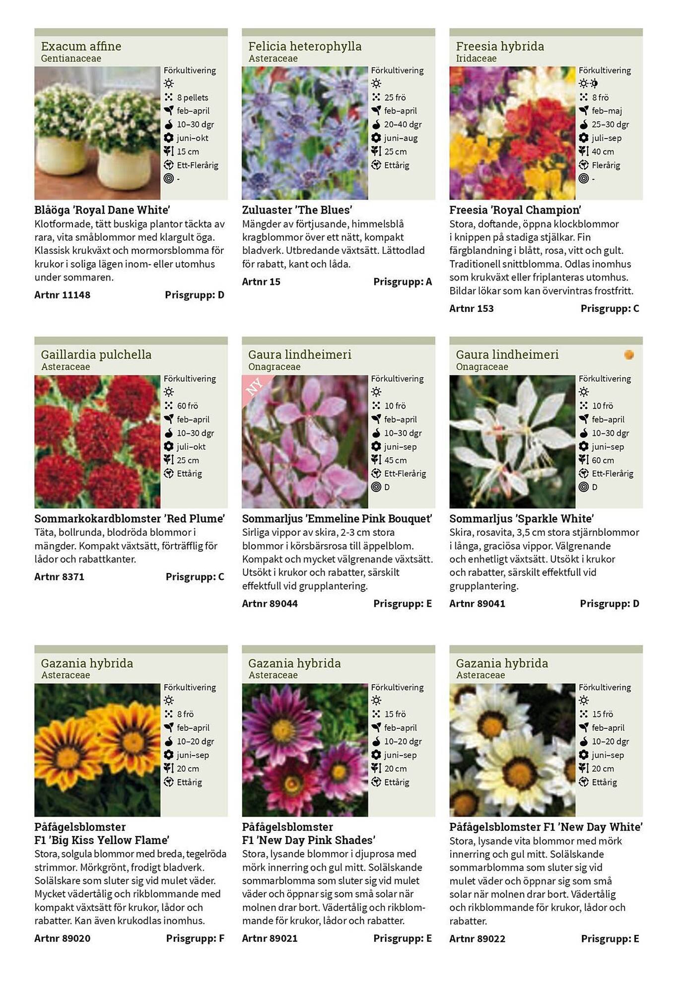 Granngården kampanjblad (2025-09-11 - 2025-12-31)