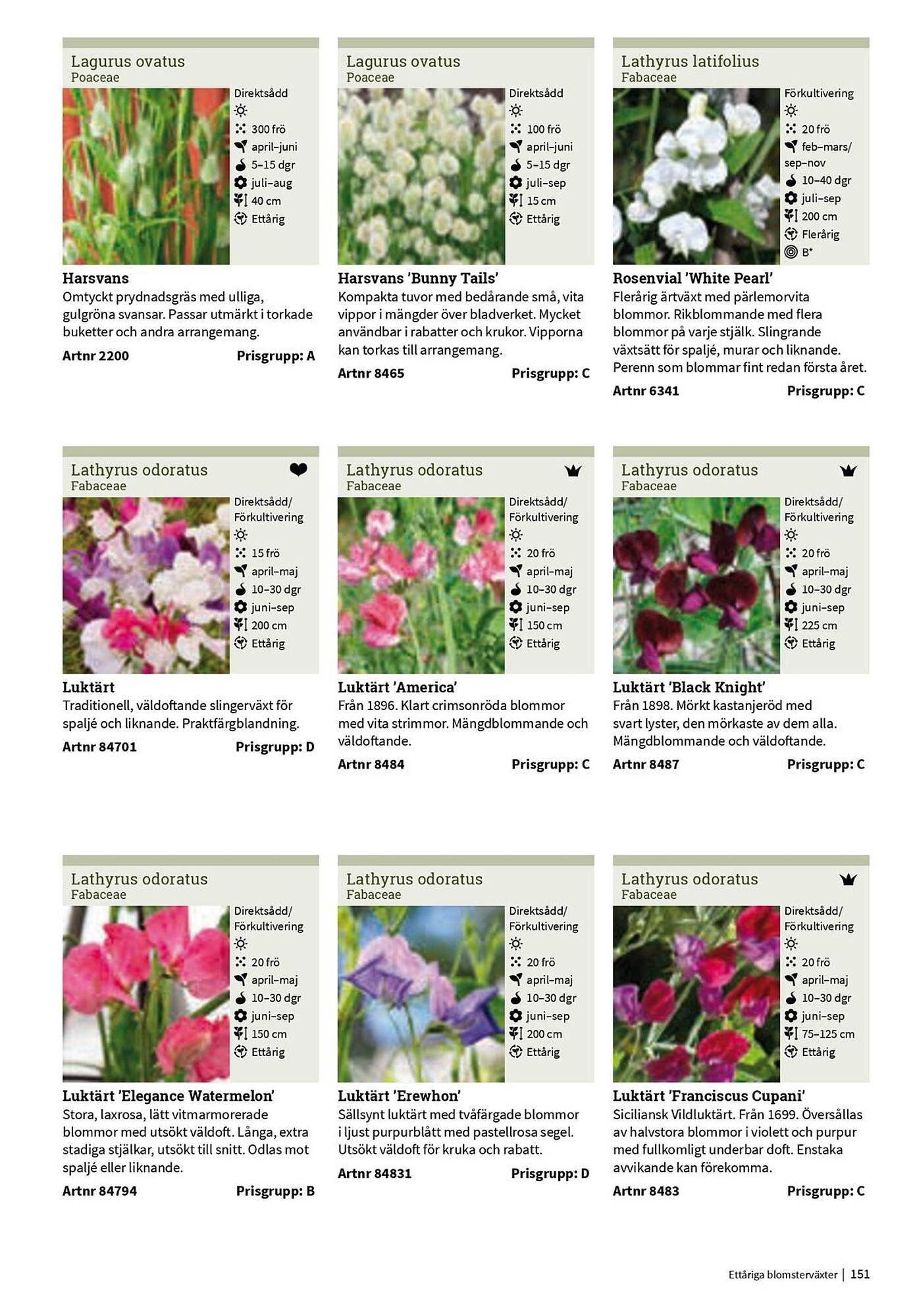 Granngården kampanjblad (2025-09-11 - 2025-12-31)
