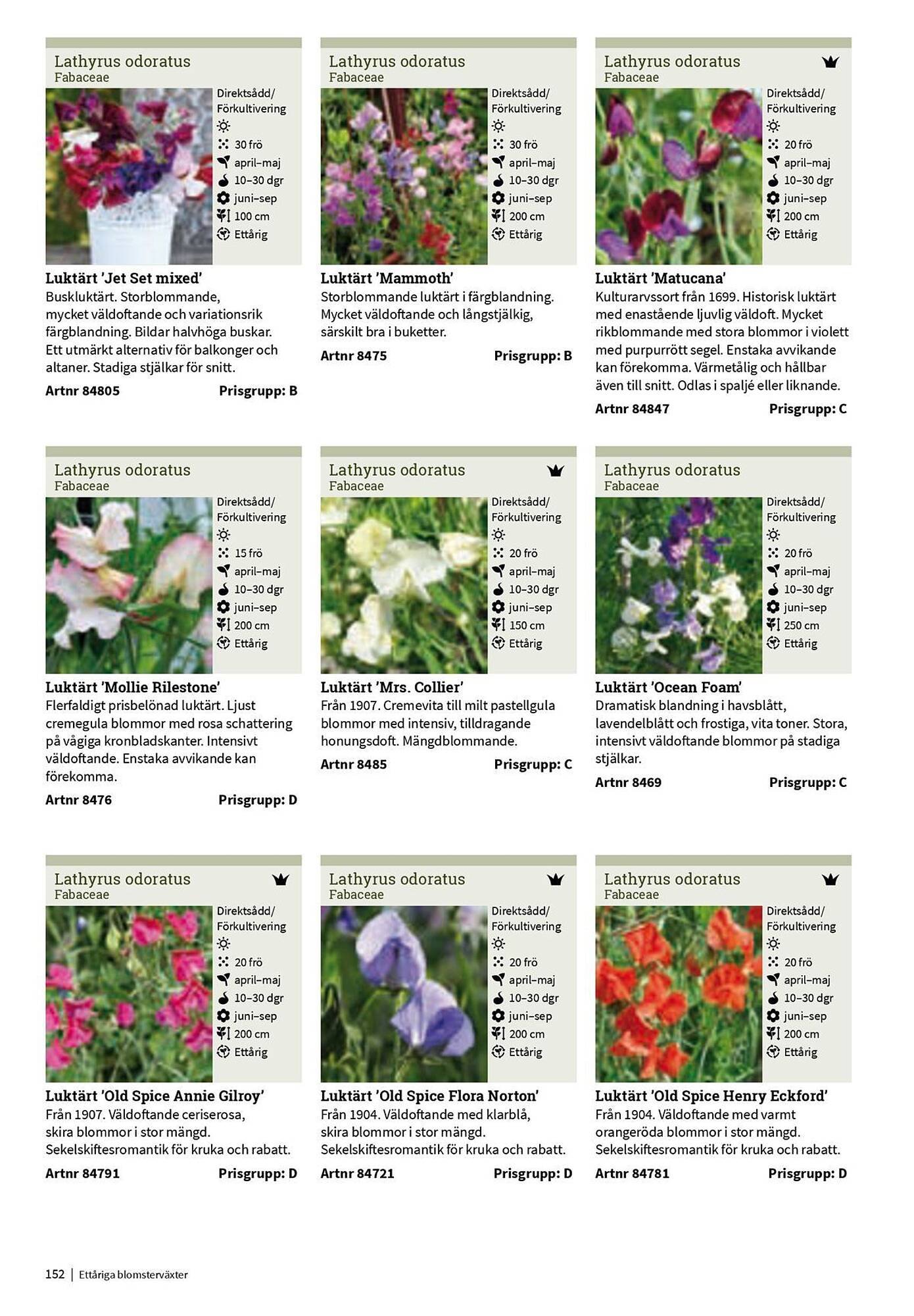 Granngården kampanjblad (2025-09-11 - 2025-12-31)