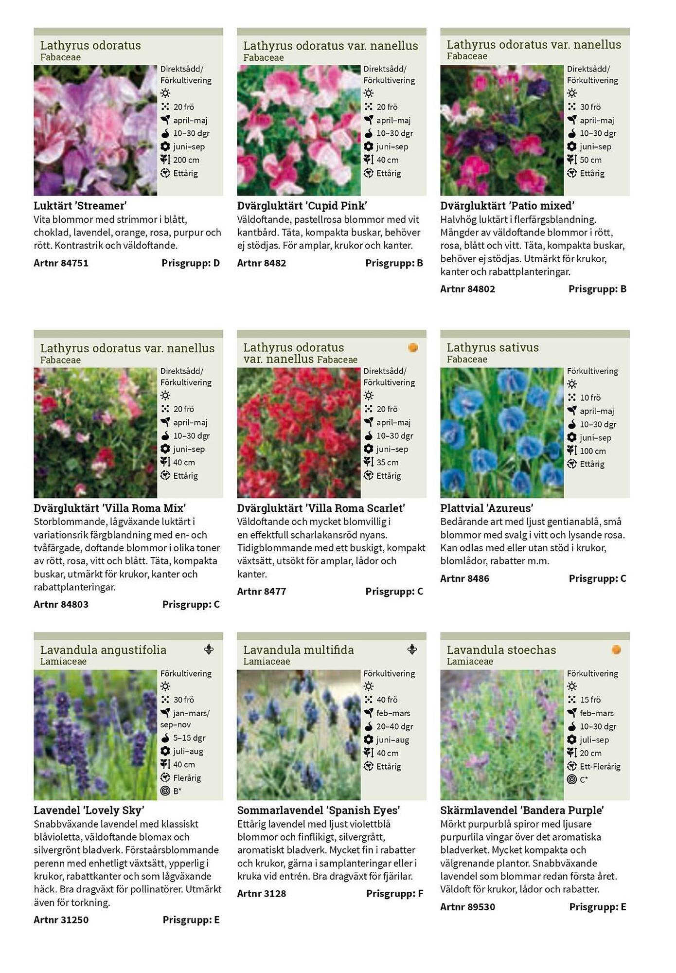 Granngården kampanjblad (2025-09-11 - 2025-12-31)