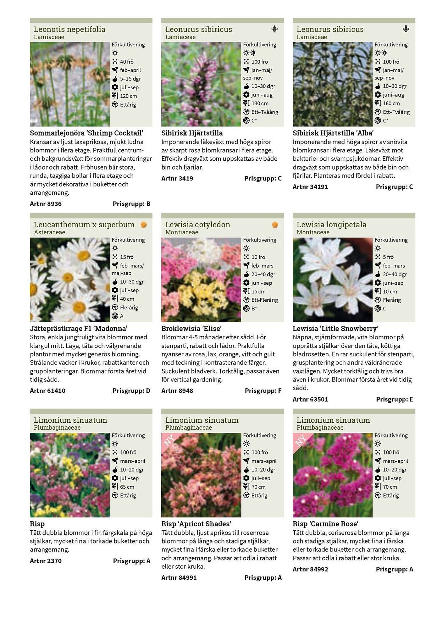 Granngården kampanjblad (2025-09-11 - 2025-12-31)