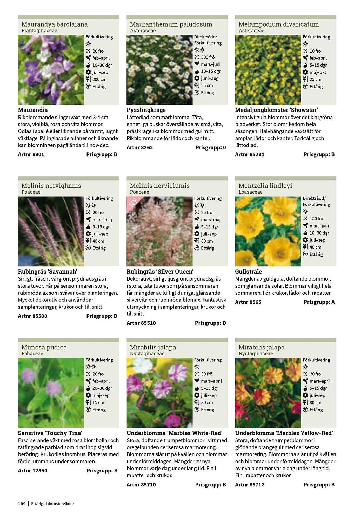 Granngården kampanjblad (2025-09-11 - 2025-12-31)