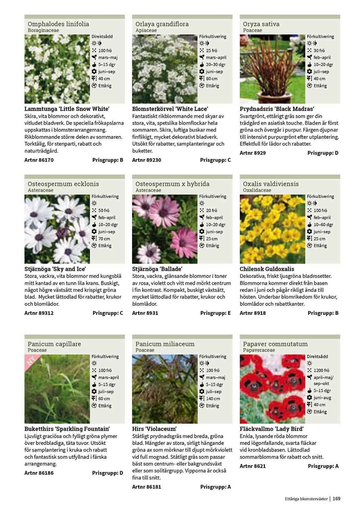 Granngården kampanjblad (2025-09-11 - 2025-12-31)