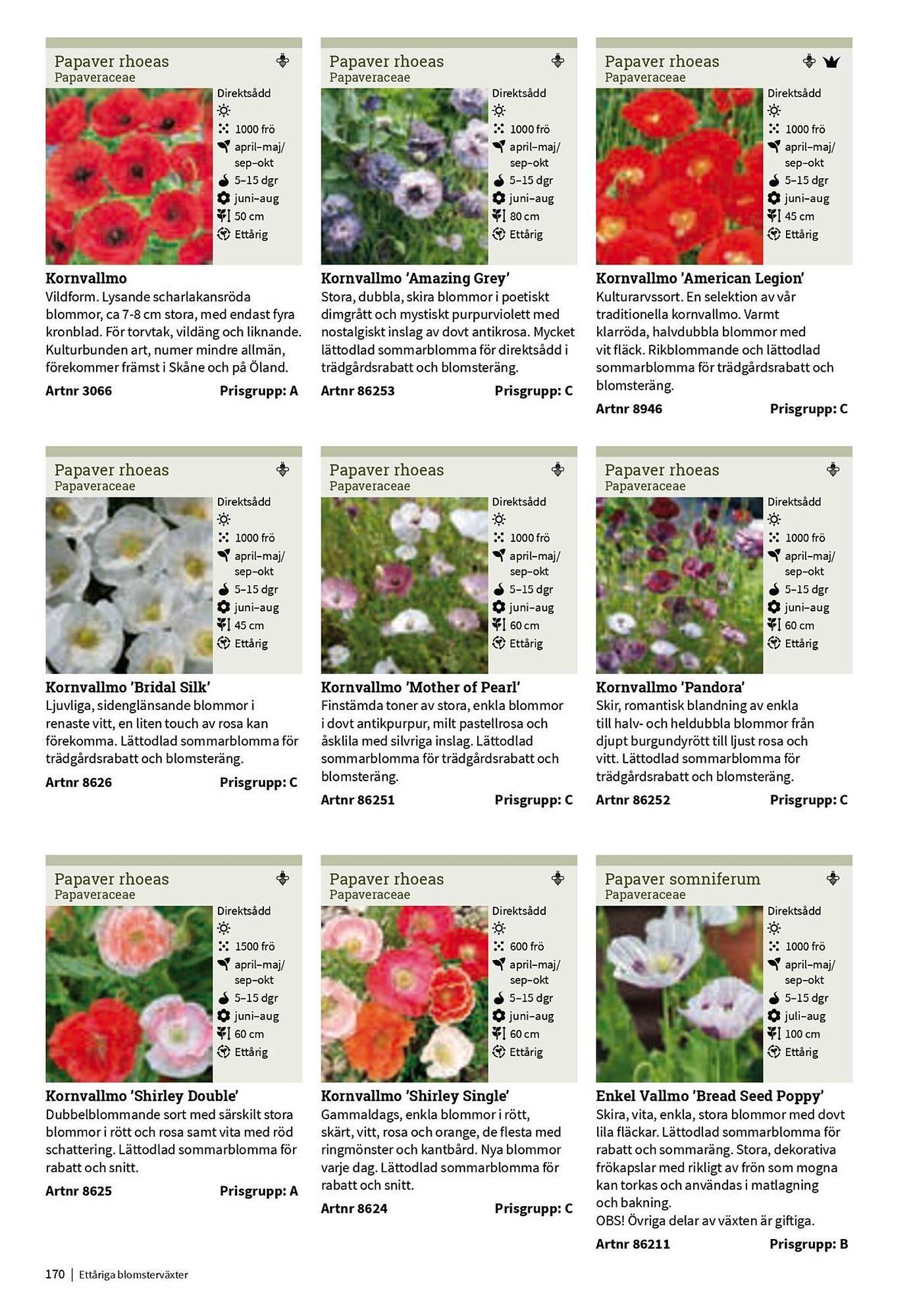Granngården kampanjblad (2025-09-11 - 2025-12-31)