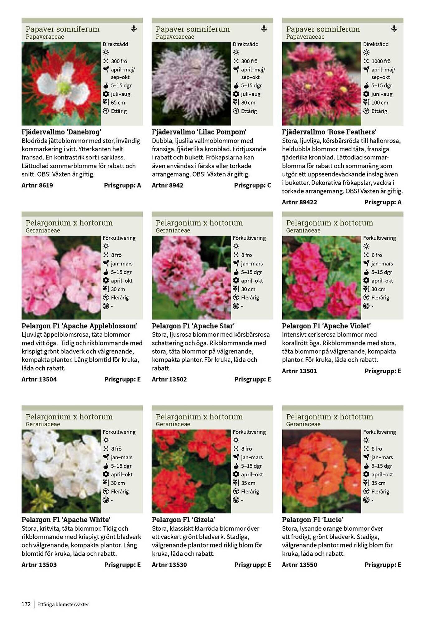 Granngården kampanjblad (2025-09-11 - 2025-12-31)