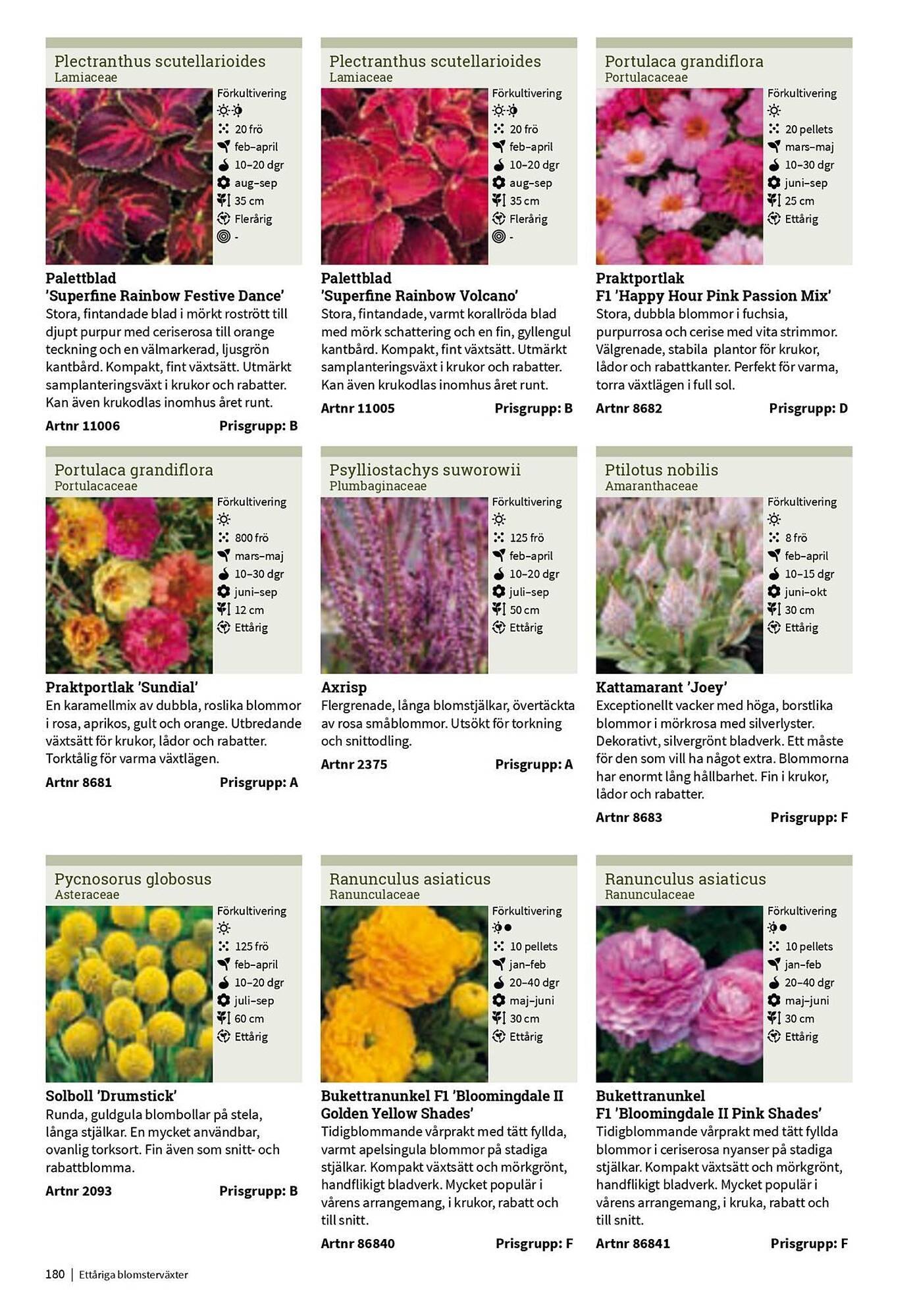 Granngården kampanjblad (2025-09-11 - 2025-12-31)