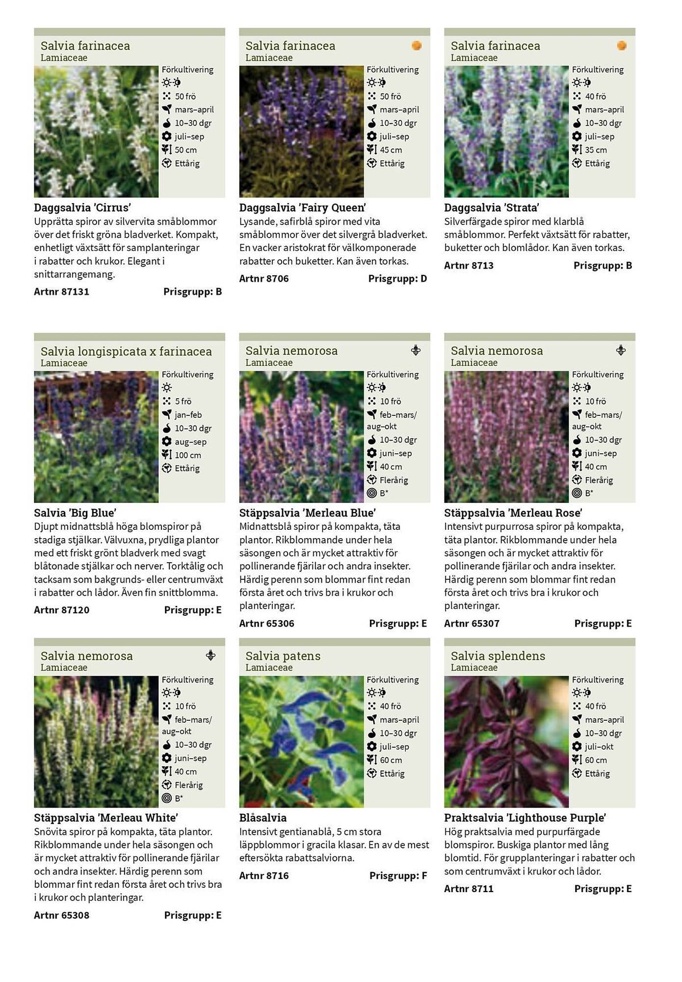Granngården kampanjblad (2025-09-11 - 2025-12-31)