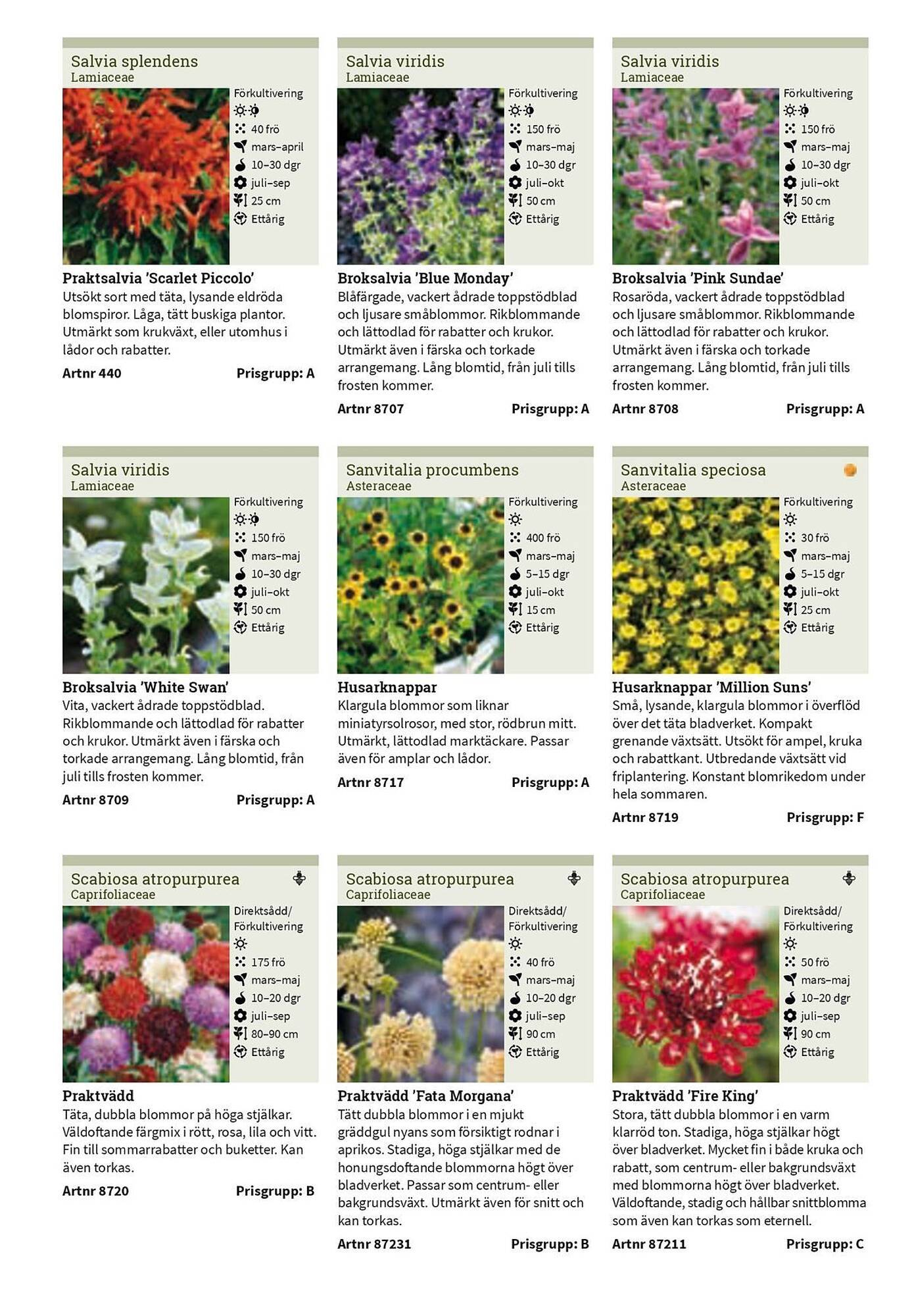 Granngården kampanjblad (2025-09-11 - 2025-12-31)