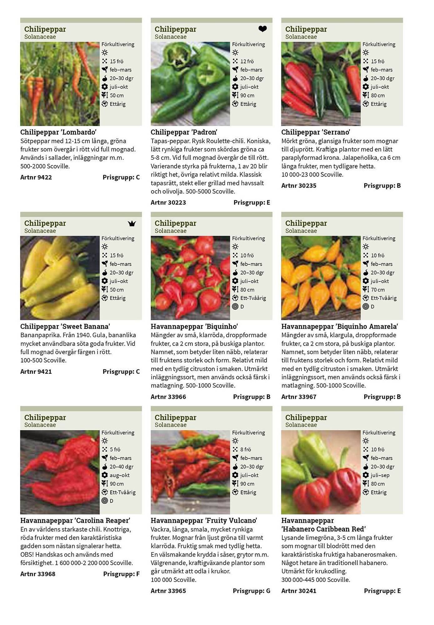 Granngården kampanjblad (2025-09-11 - 2025-12-31)